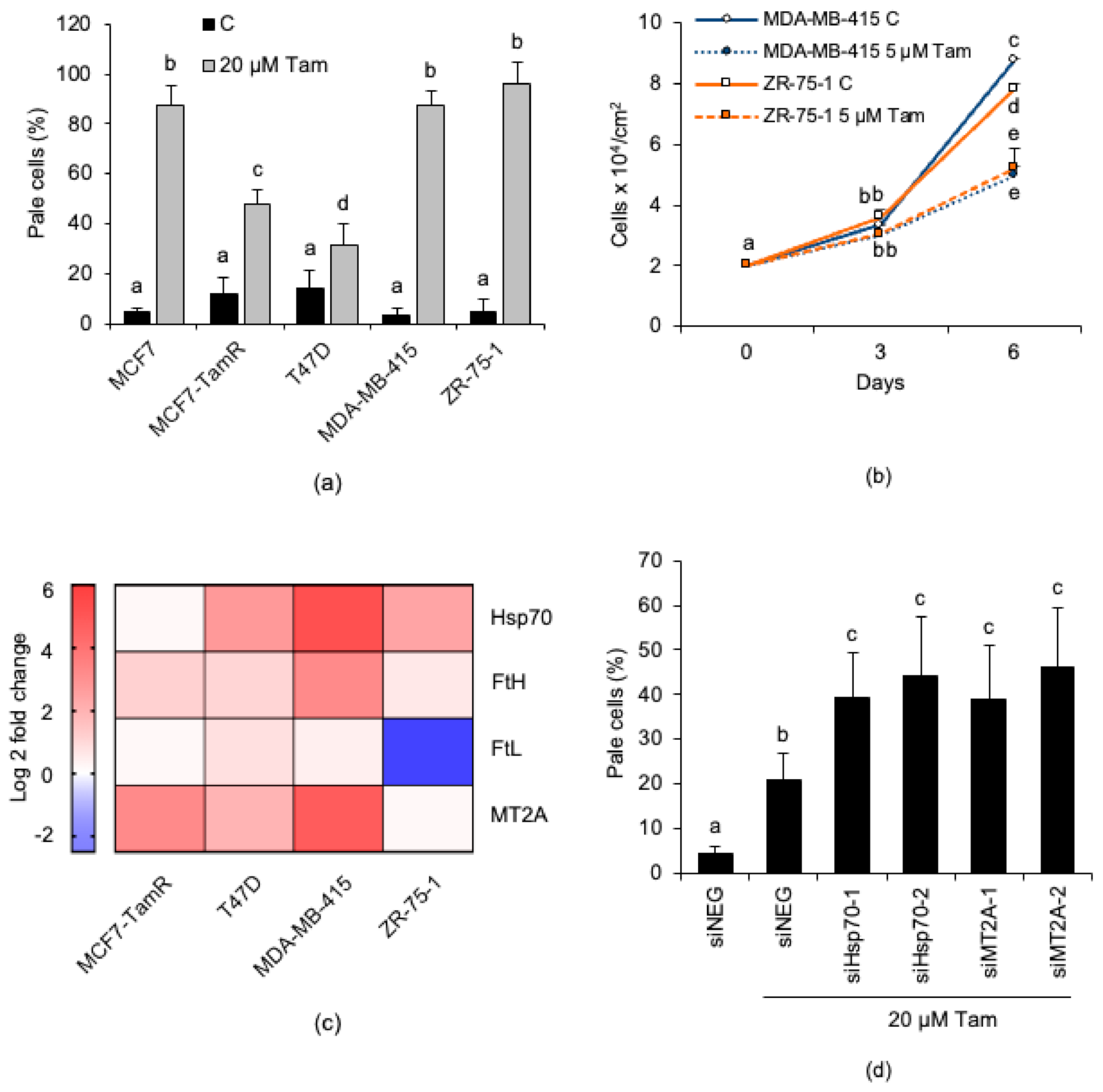 Cancers 13 01252 g008