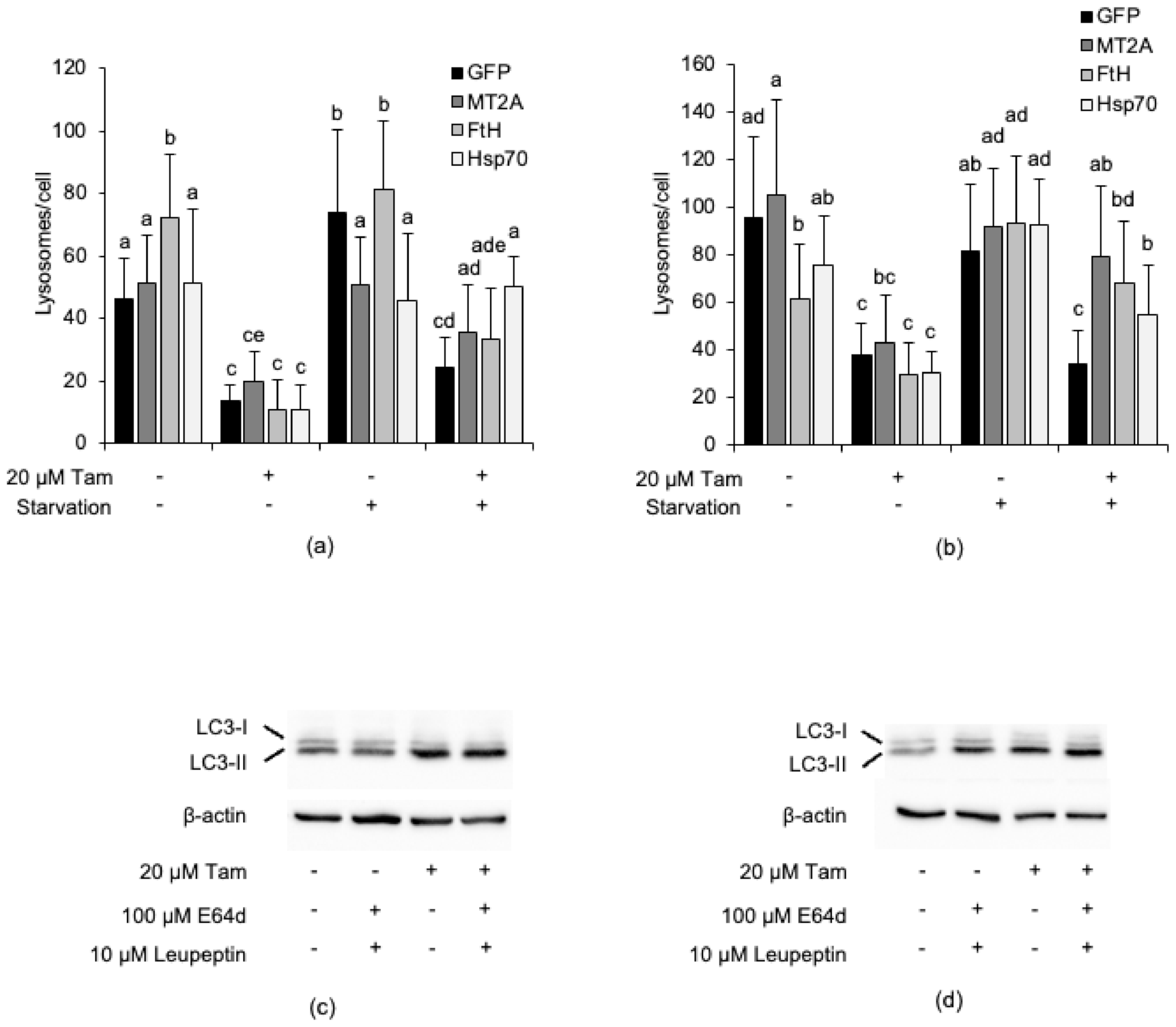 Cancers 13 01252 g009