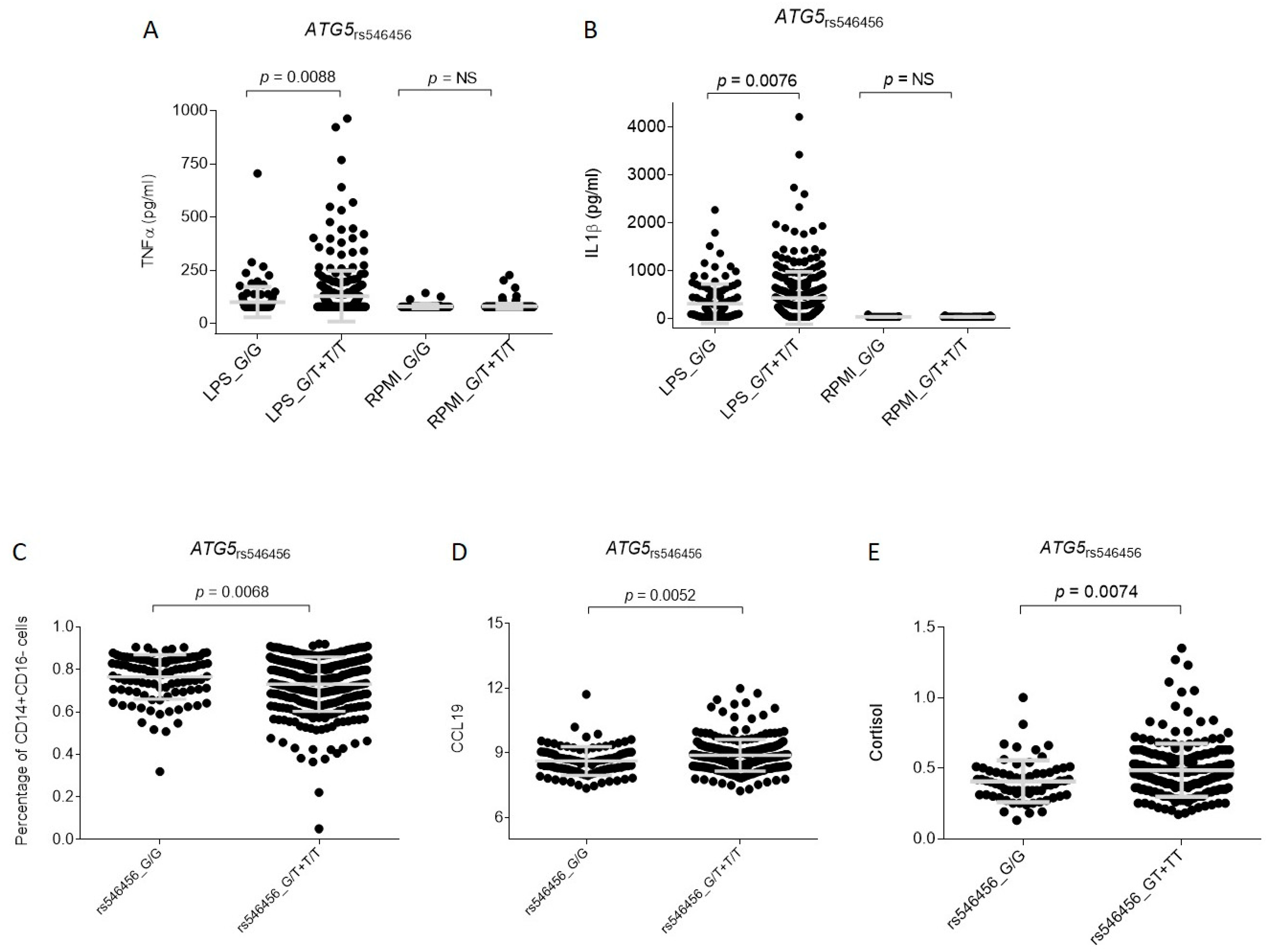 Cancers 13 01258 g003 Cancers 13 01258 g003