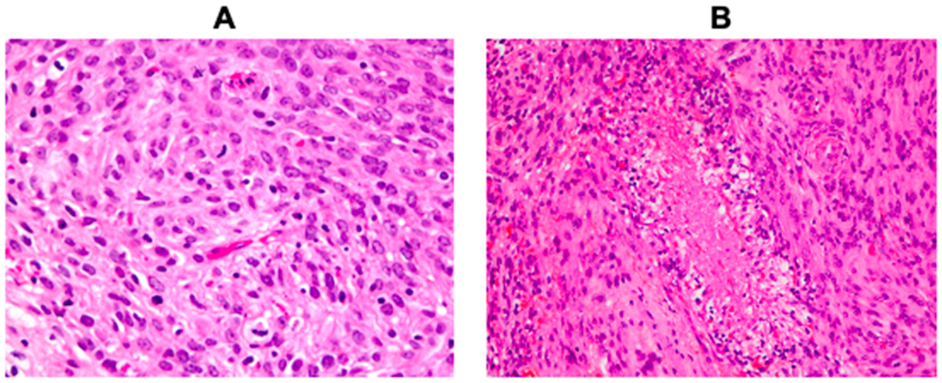 Cancers 13 01262 g001