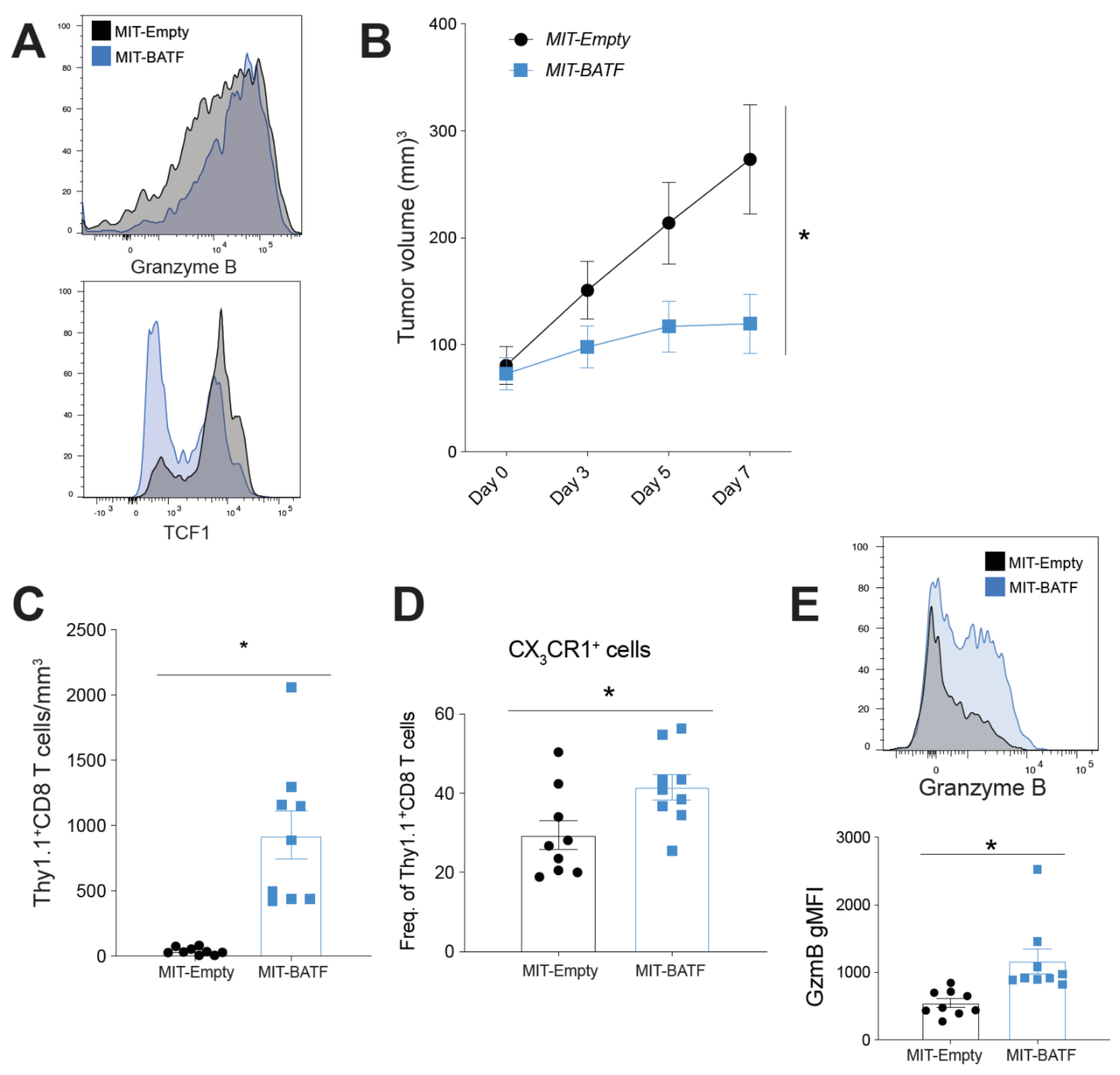 Cancers 13 01263 g003