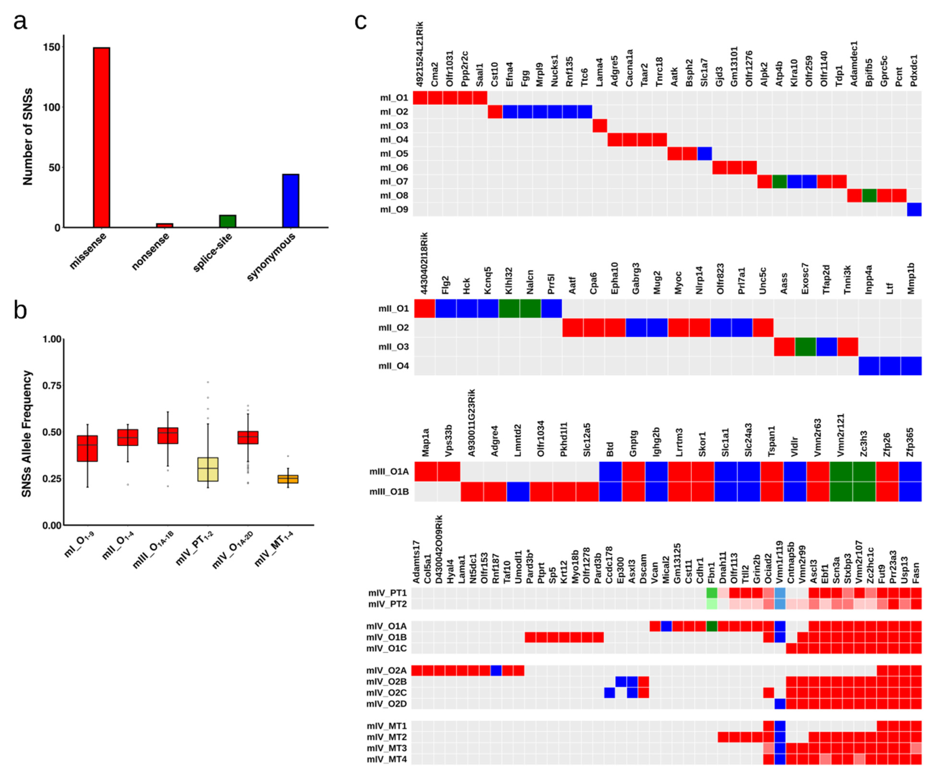 Cancers 13 01267 g002