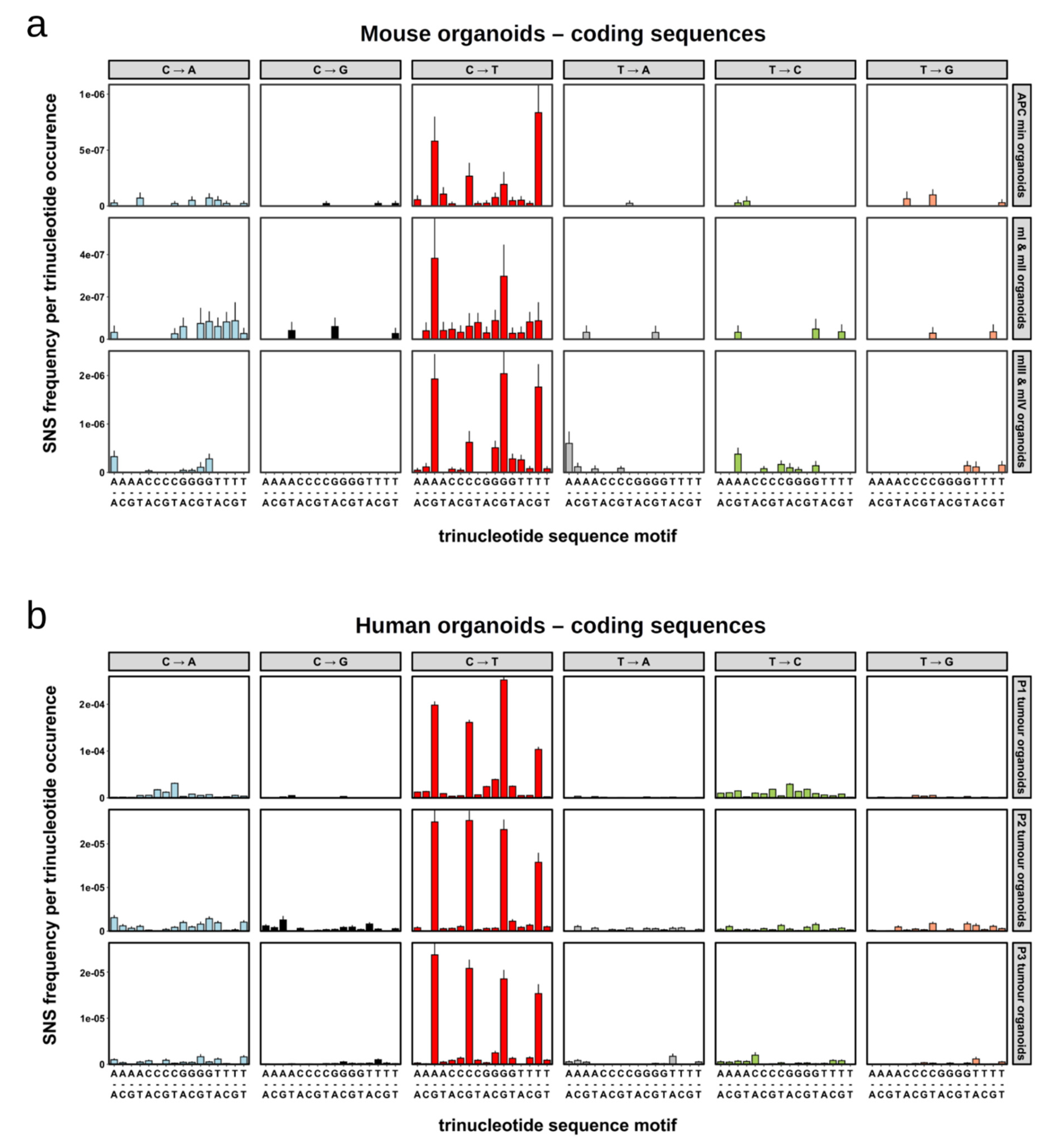Cancers 13 01267 g004