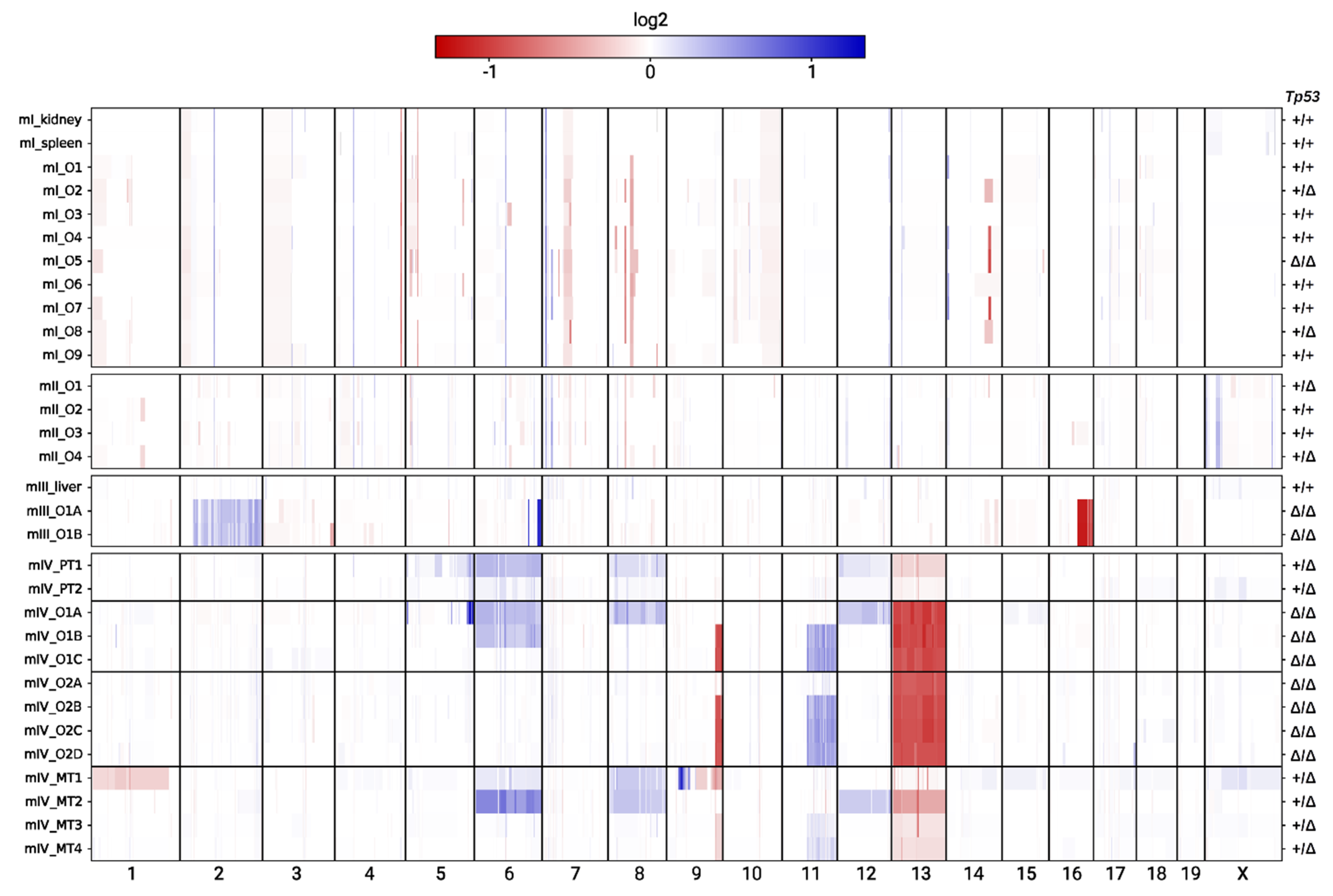 Cancers 13 01267 g005