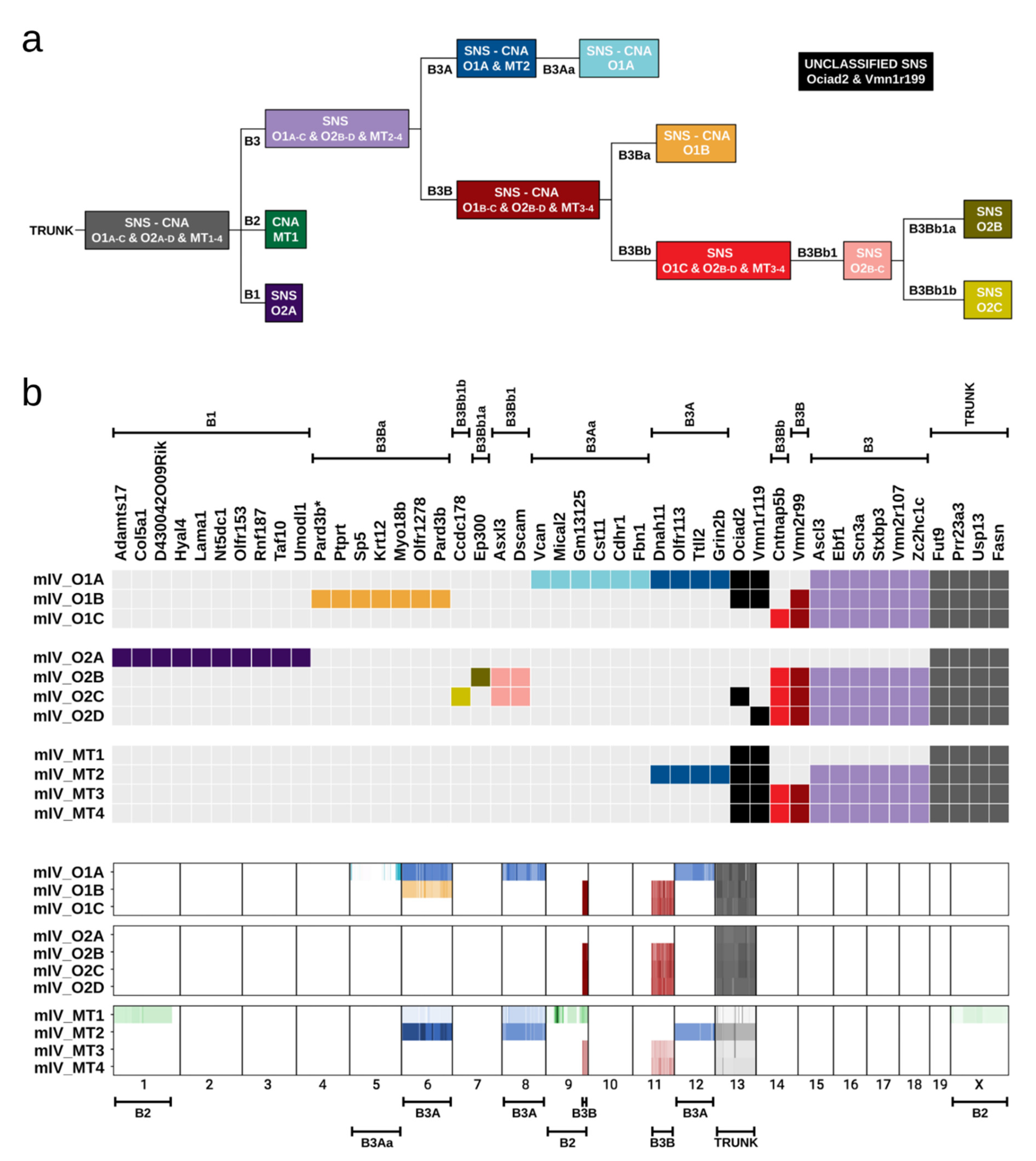 Cancers 13 01267 g006