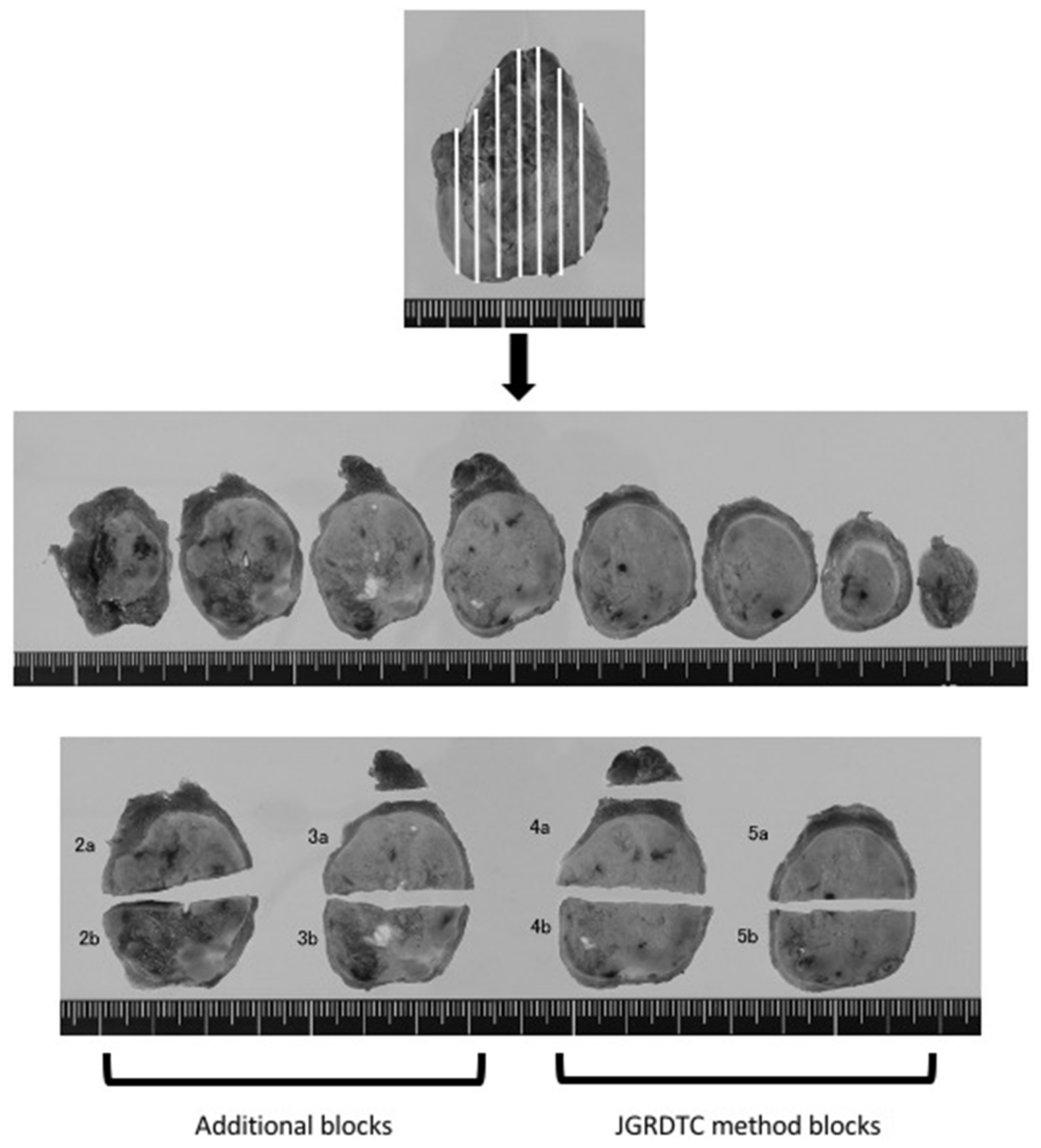 Cancers 13 01270 g001