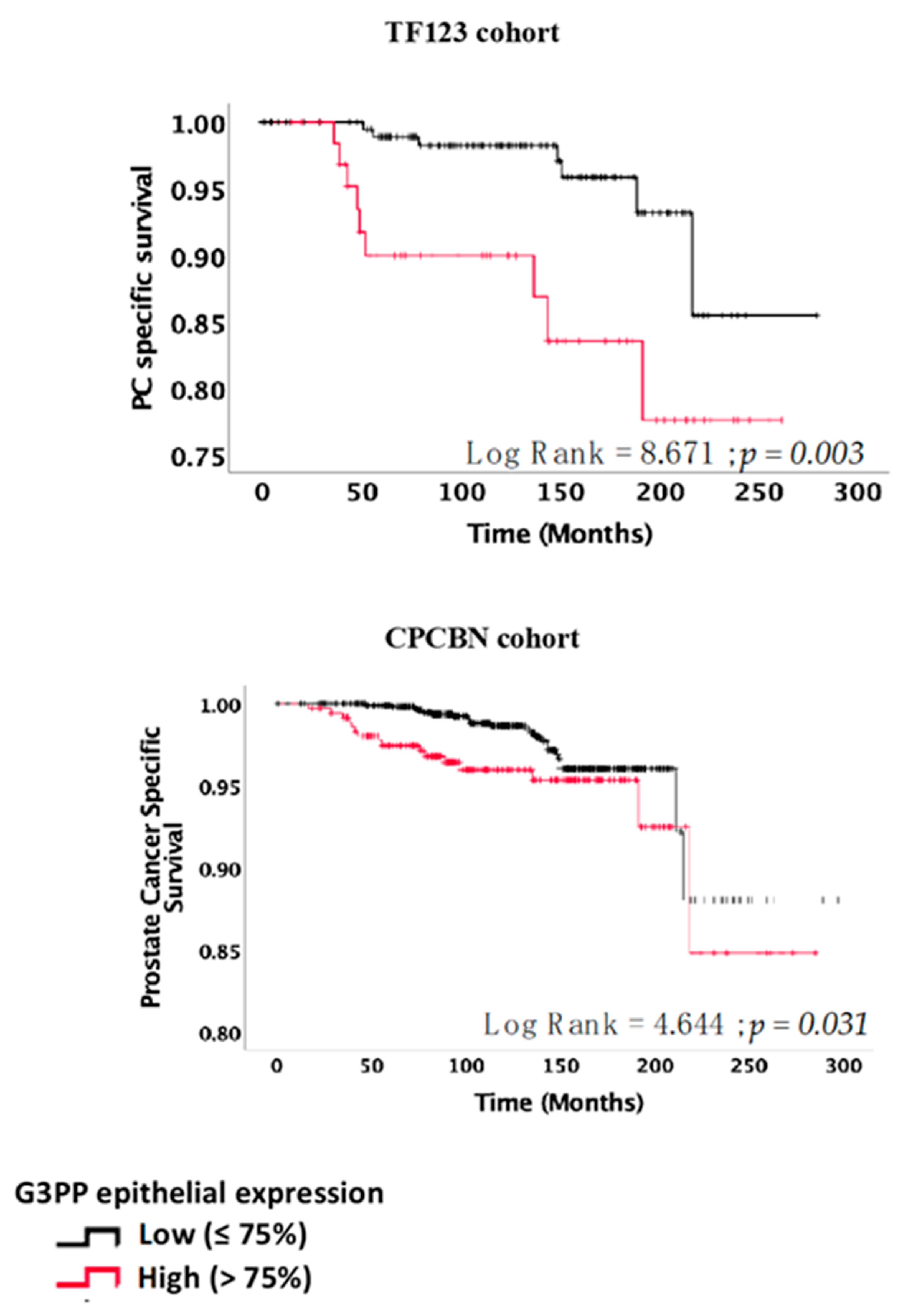 Cancers 13 01273 g004 Cancers 13 01273 g004