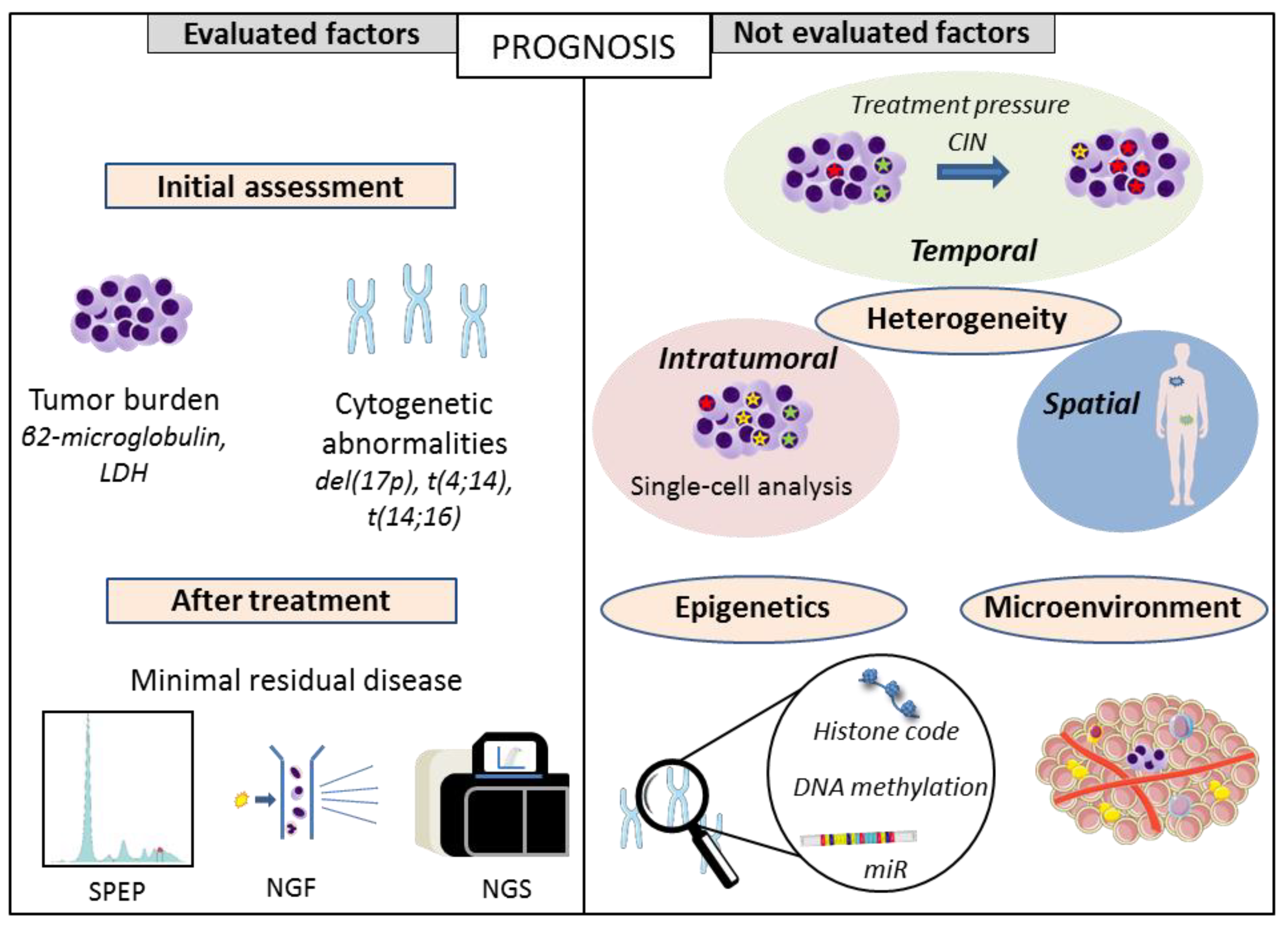Cancers 13 01285 g001