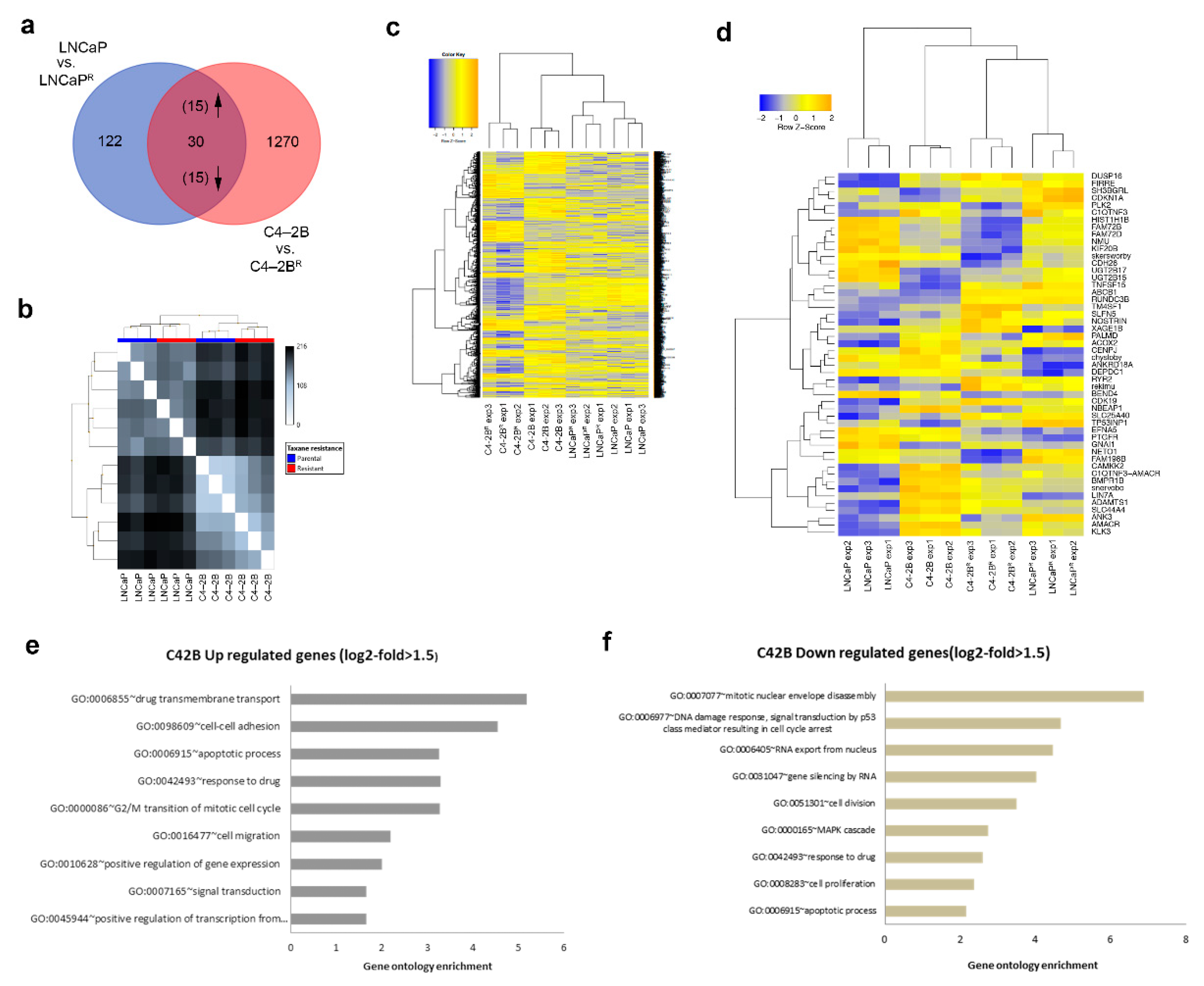 Cancers 13 01290 g002