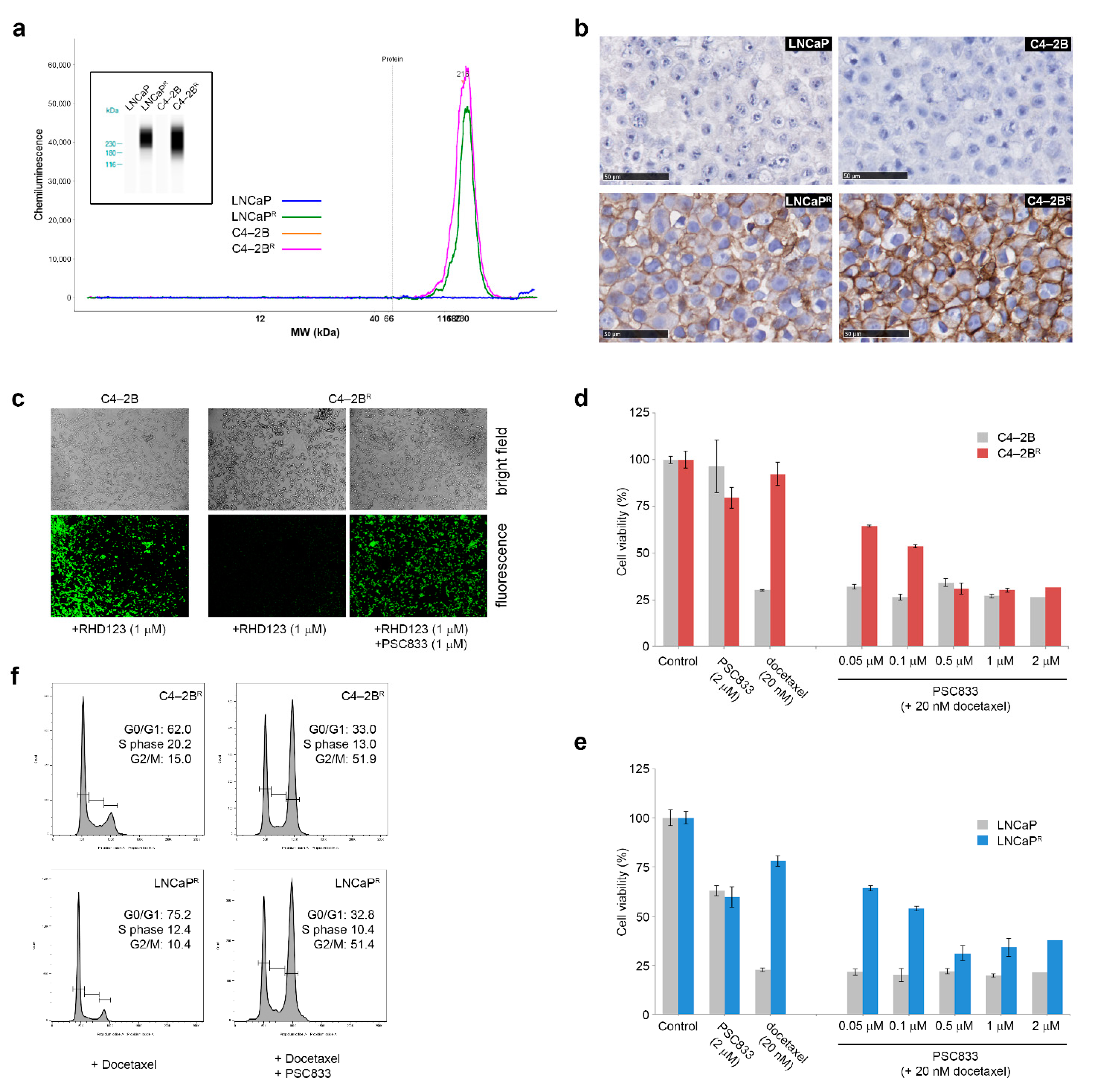 Cancers 13 01290 g004