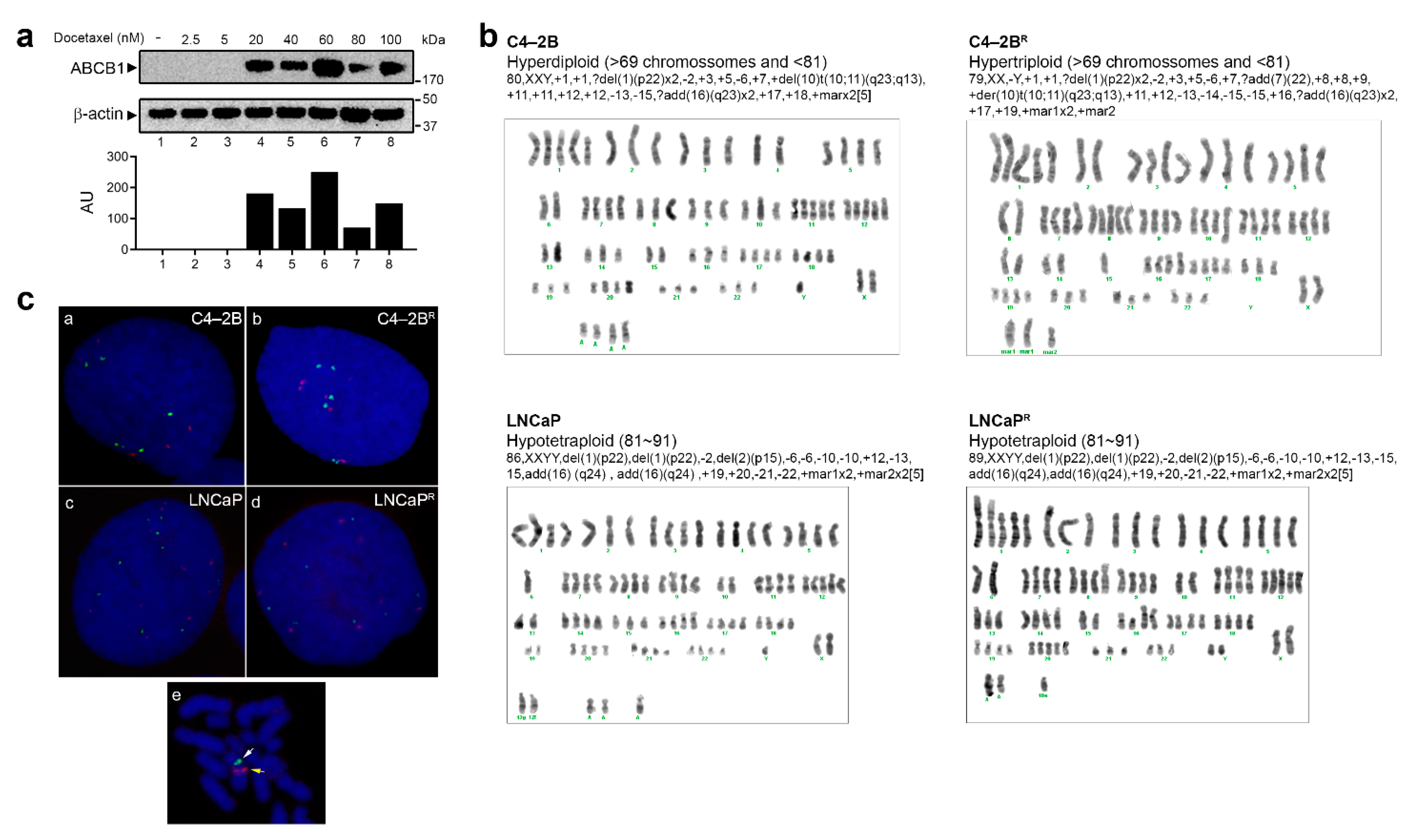 Cancers 13 01290 g005