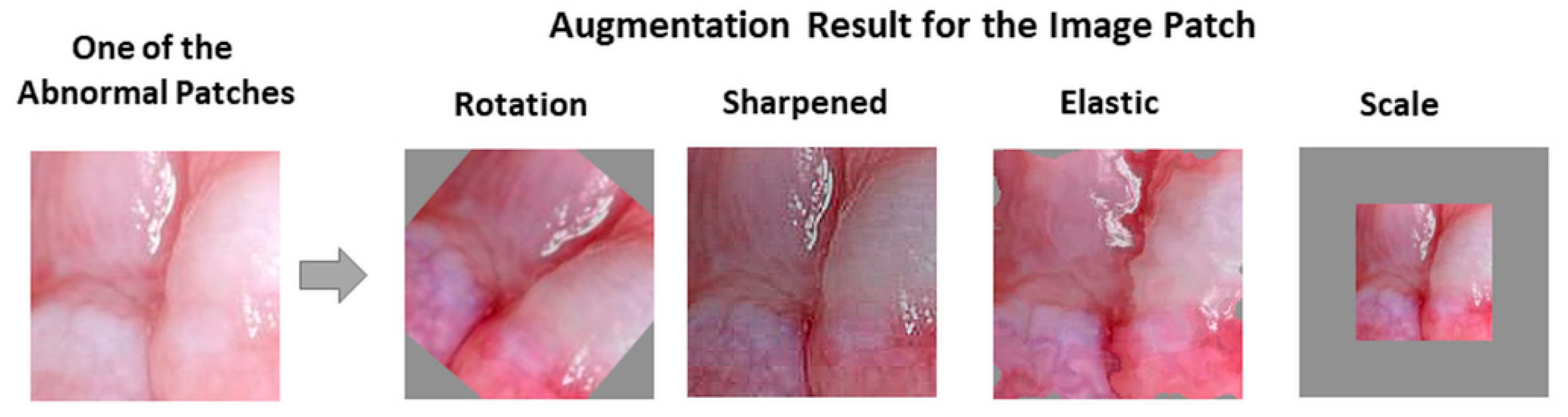 Cancers 13 01291 g005