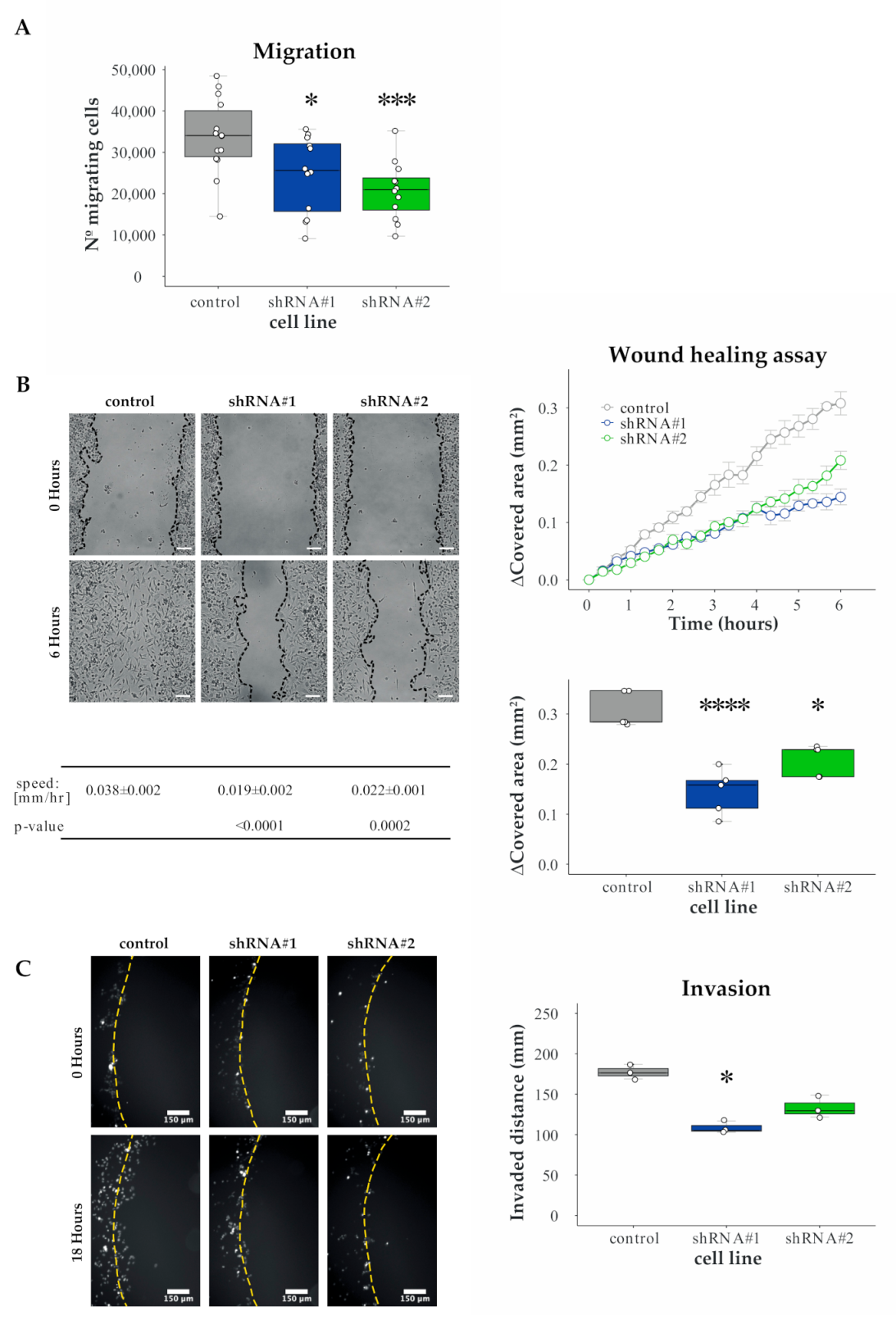 Cancers 13 01309 g003