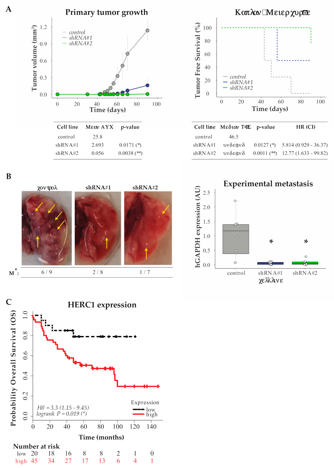 Cancers 13 01309 g004