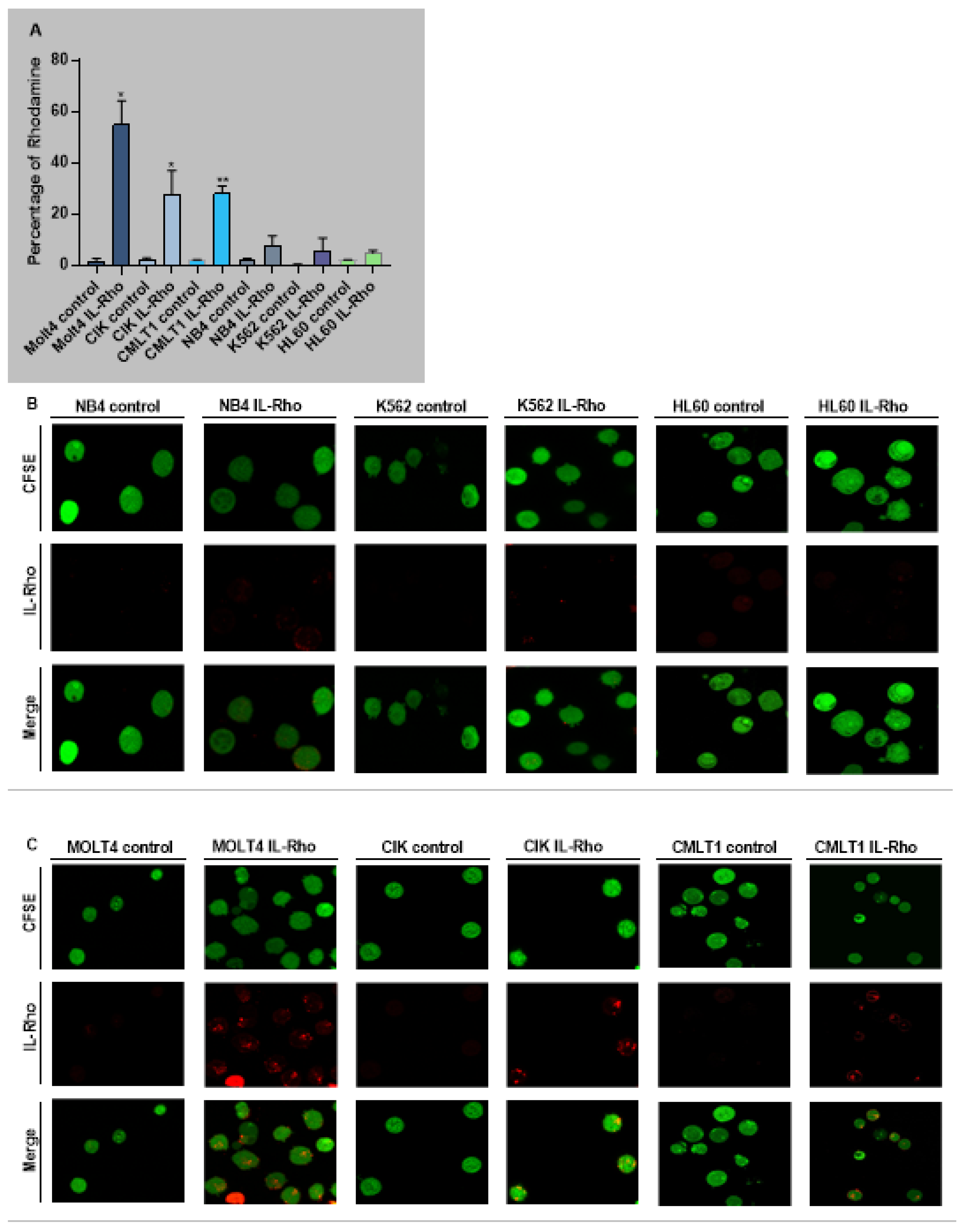Cancers 13 01311 g002a Cancers 13 01311 g002a