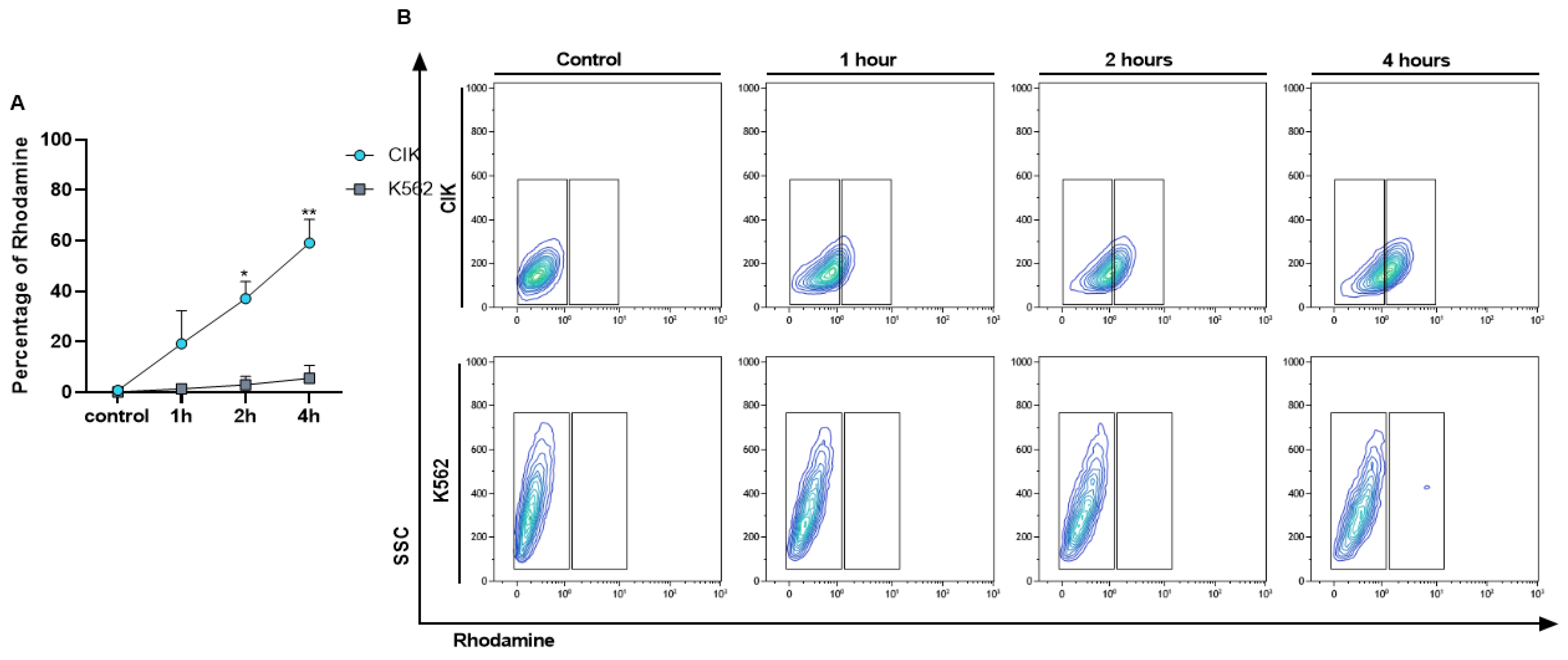 Cancers 13 01311 g003 Cancers 13 01311 g003