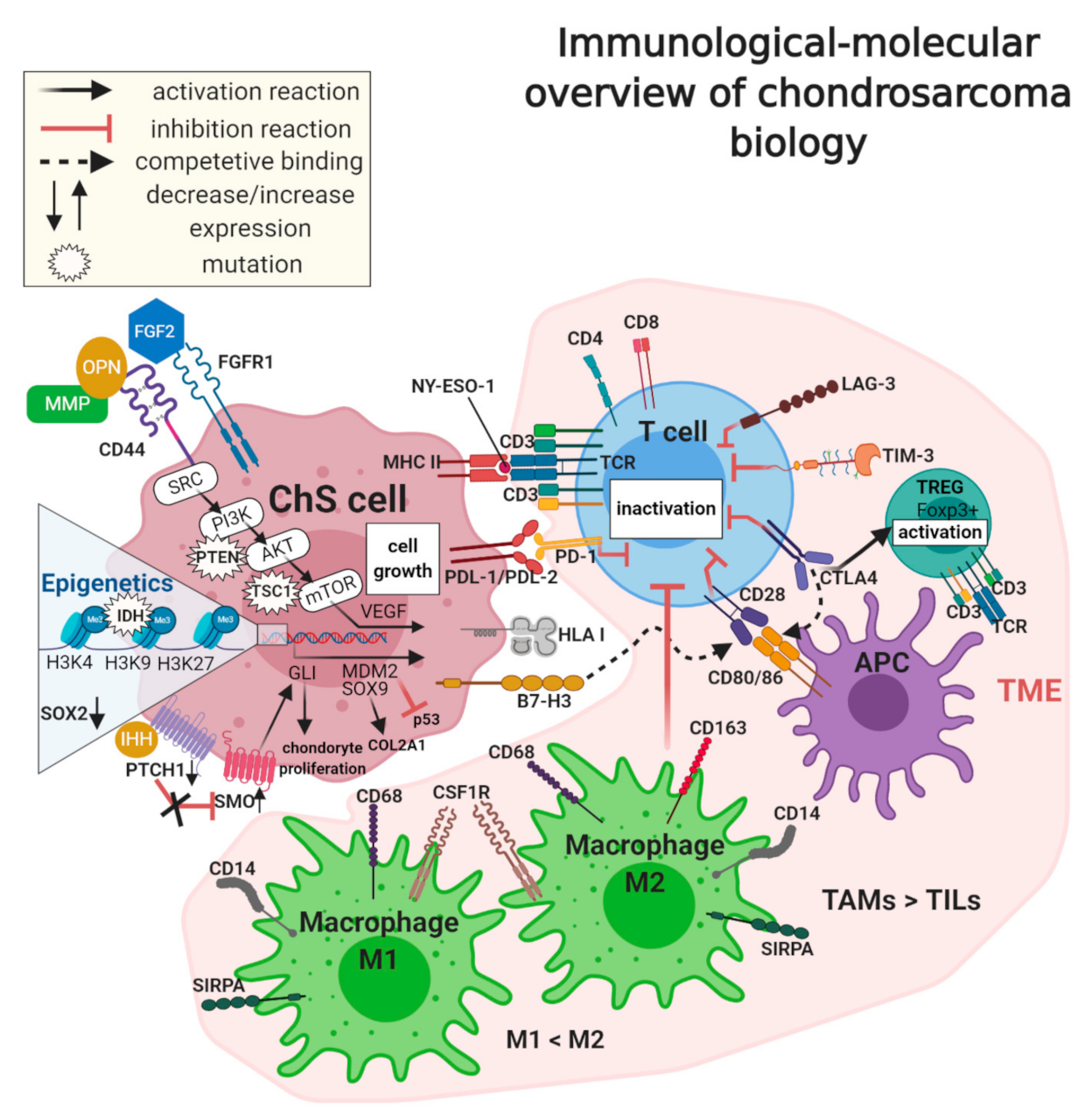 Cancers 13 01317 g002