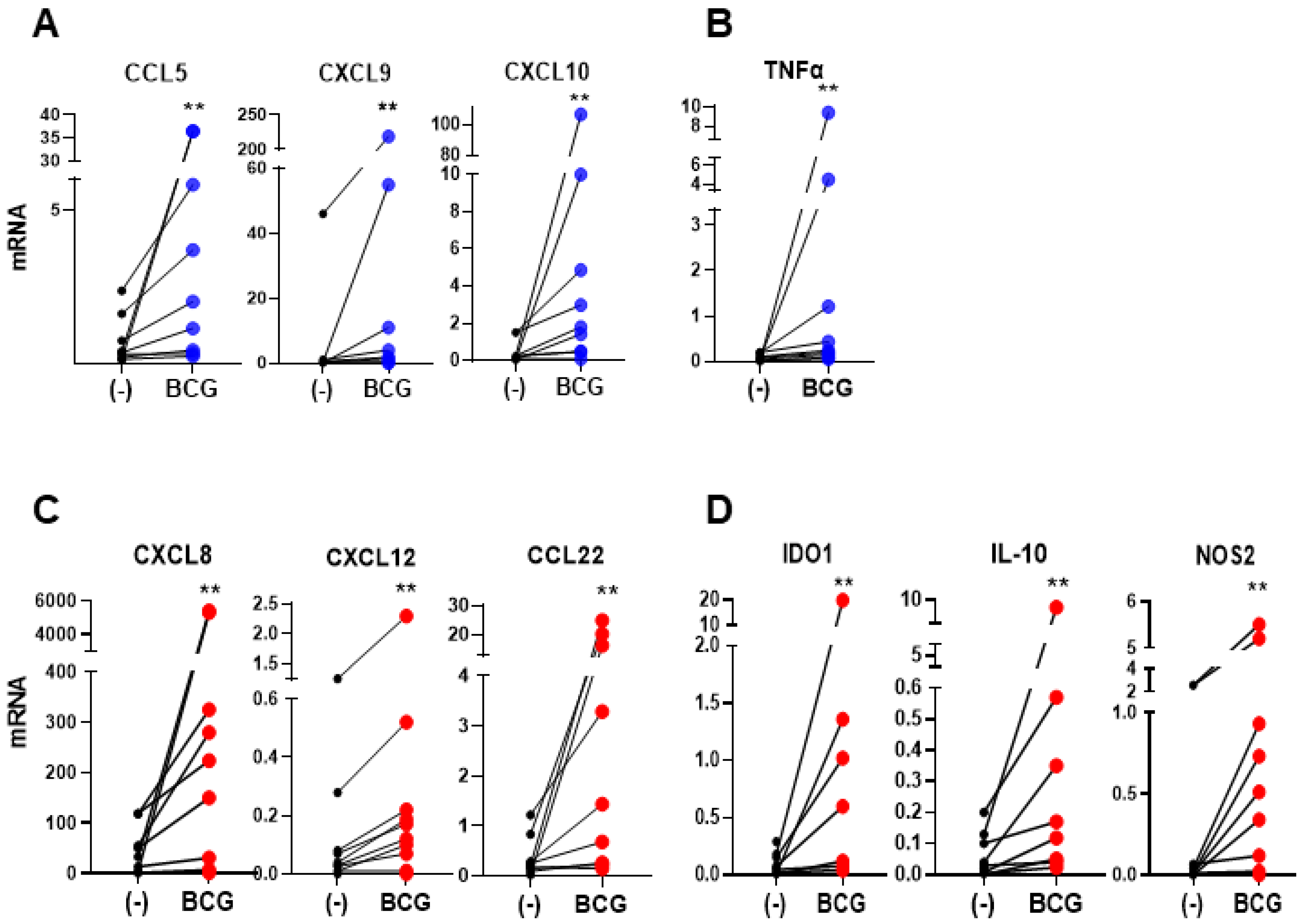 Cancers 13 01323 g001