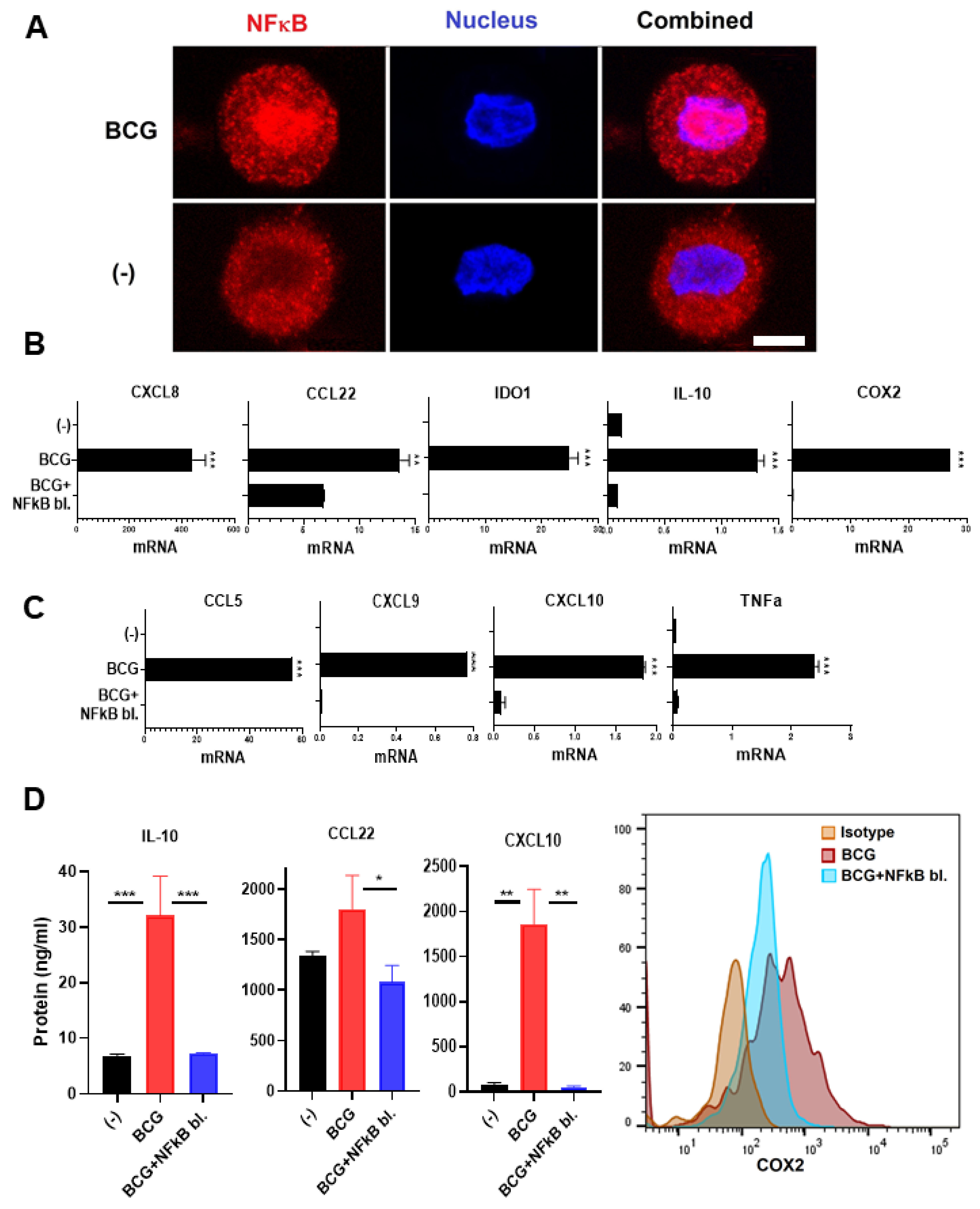 Cancers 13 01323 g003