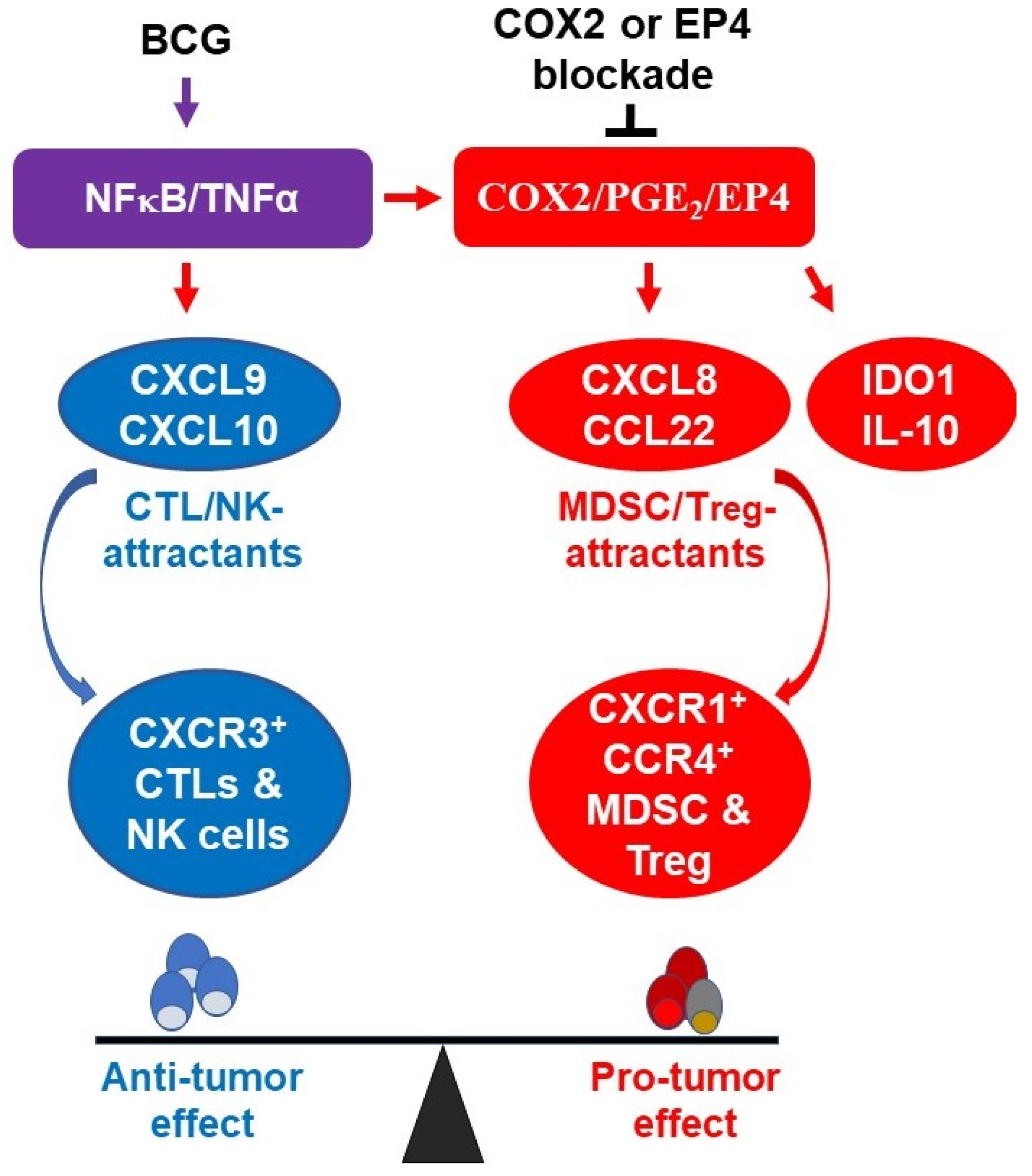Cancers 13 01323 g006