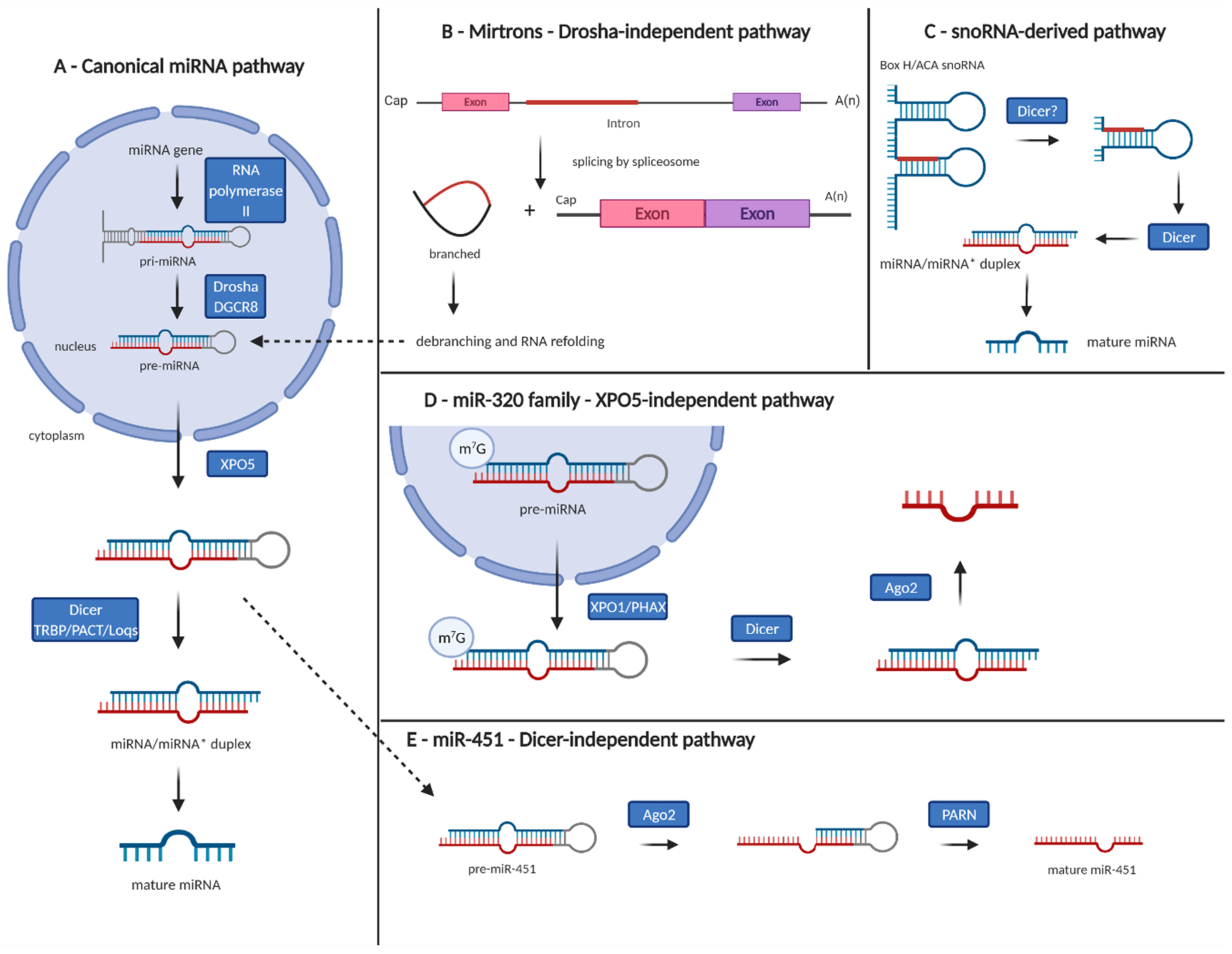 Cancers 13 01333 g001
