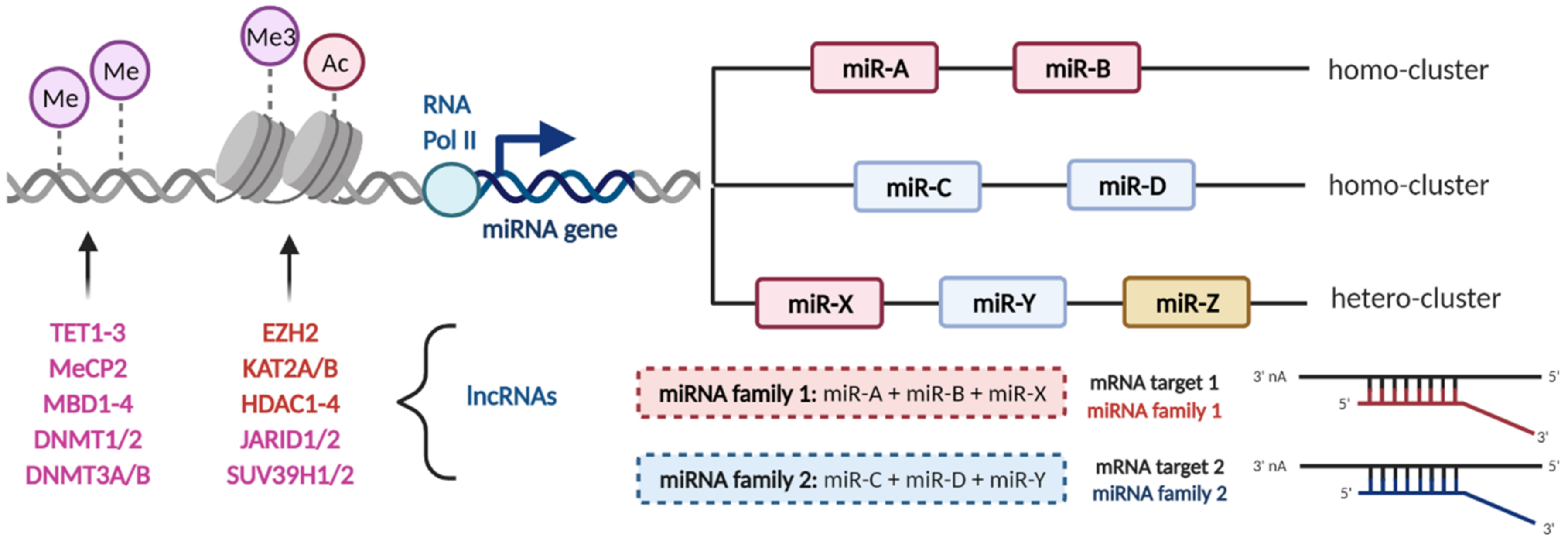 Cancers 13 01333 g002