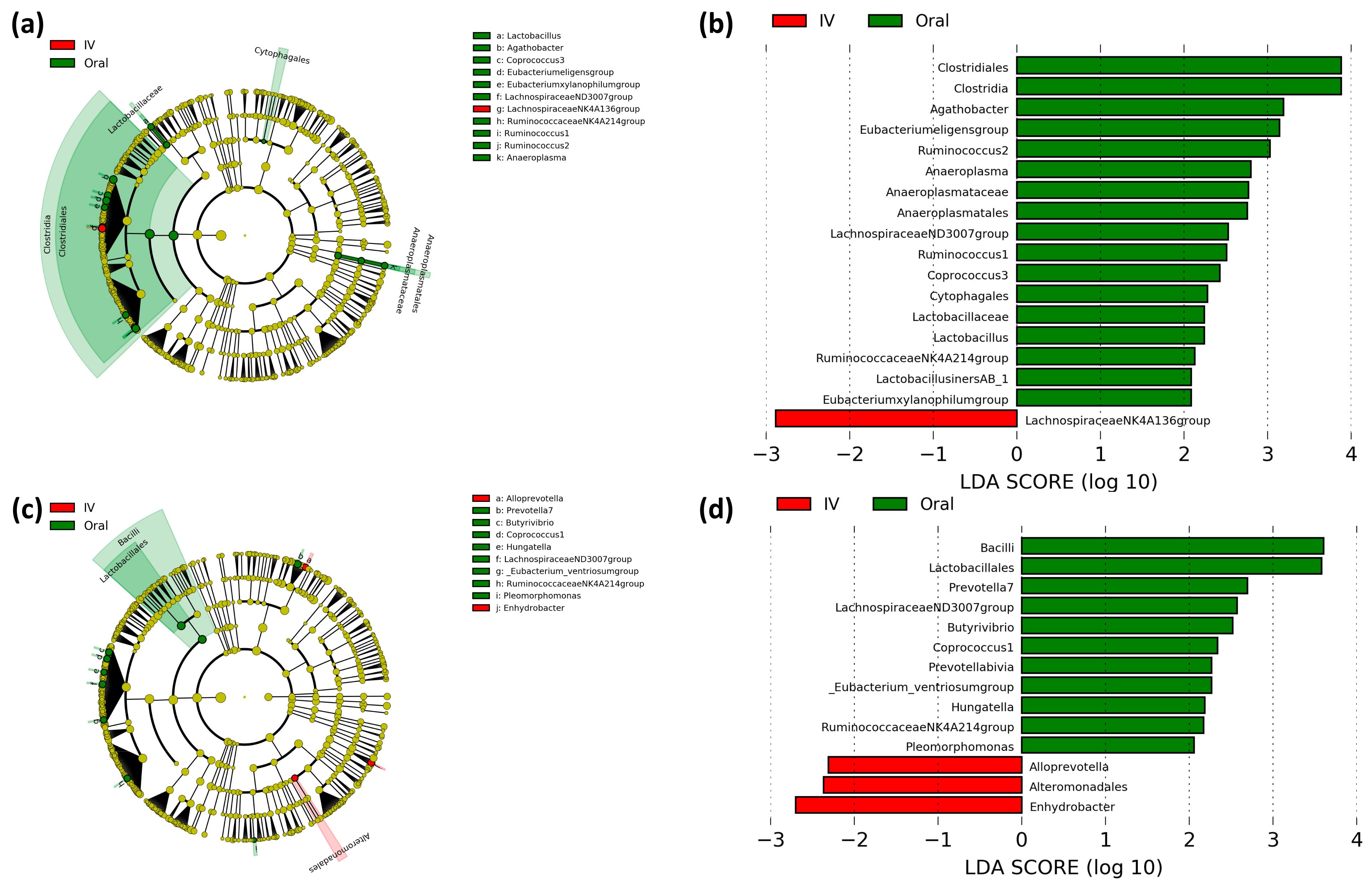 Cancers 13 01341 g003