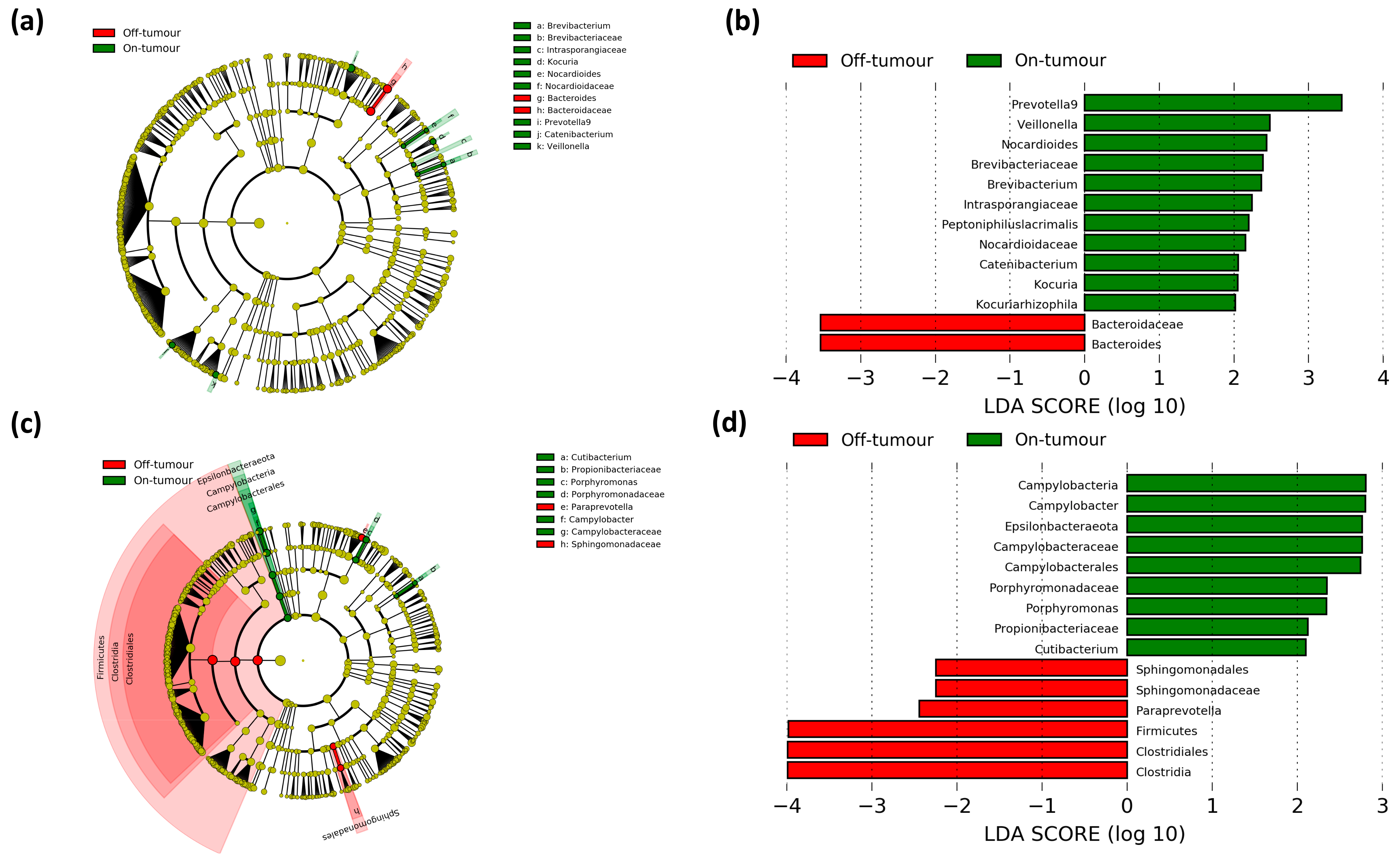 Cancers 13 01341 g005