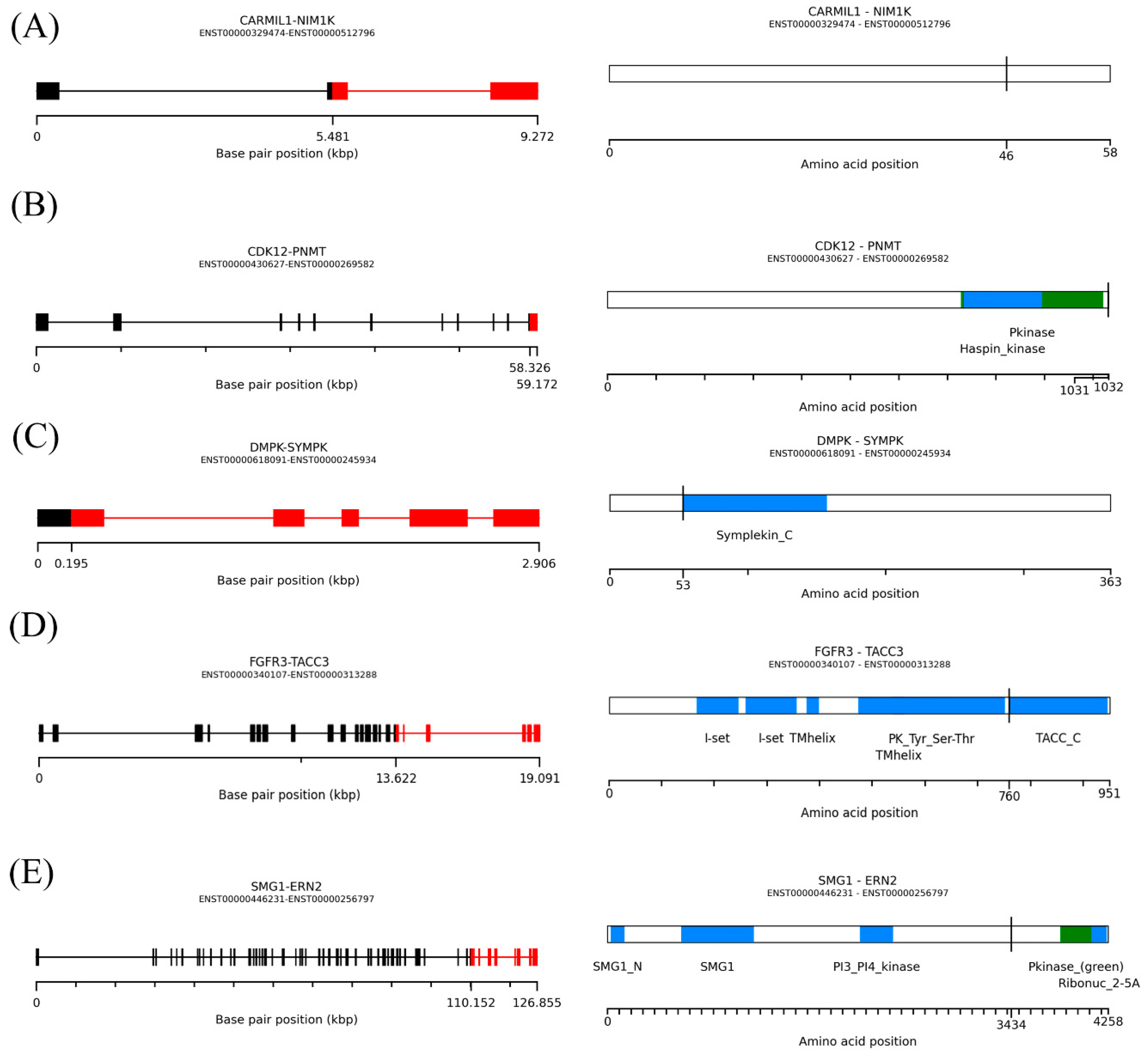 Cancers 13 01343 g004