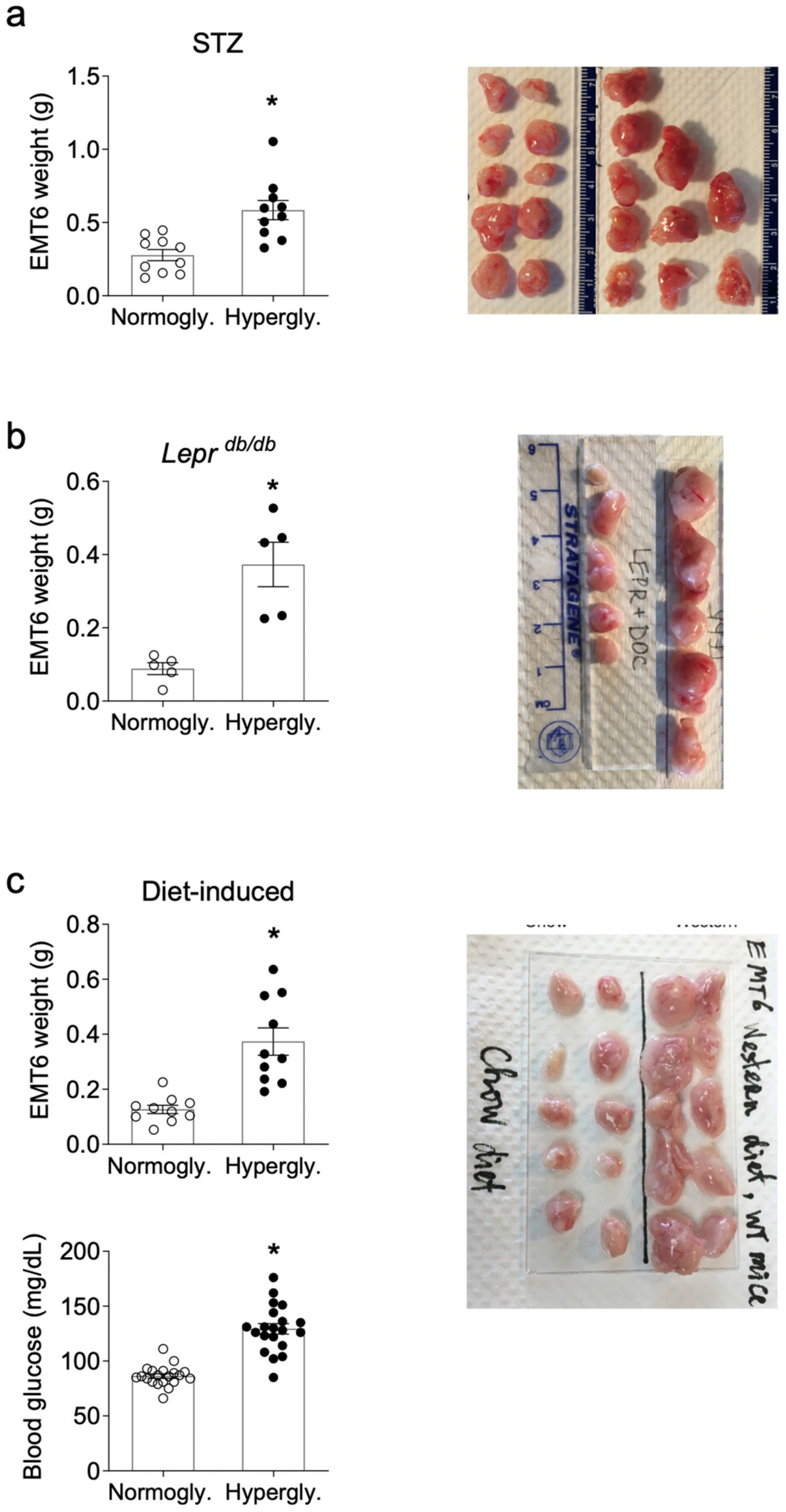 Cancers 13 01346 g001