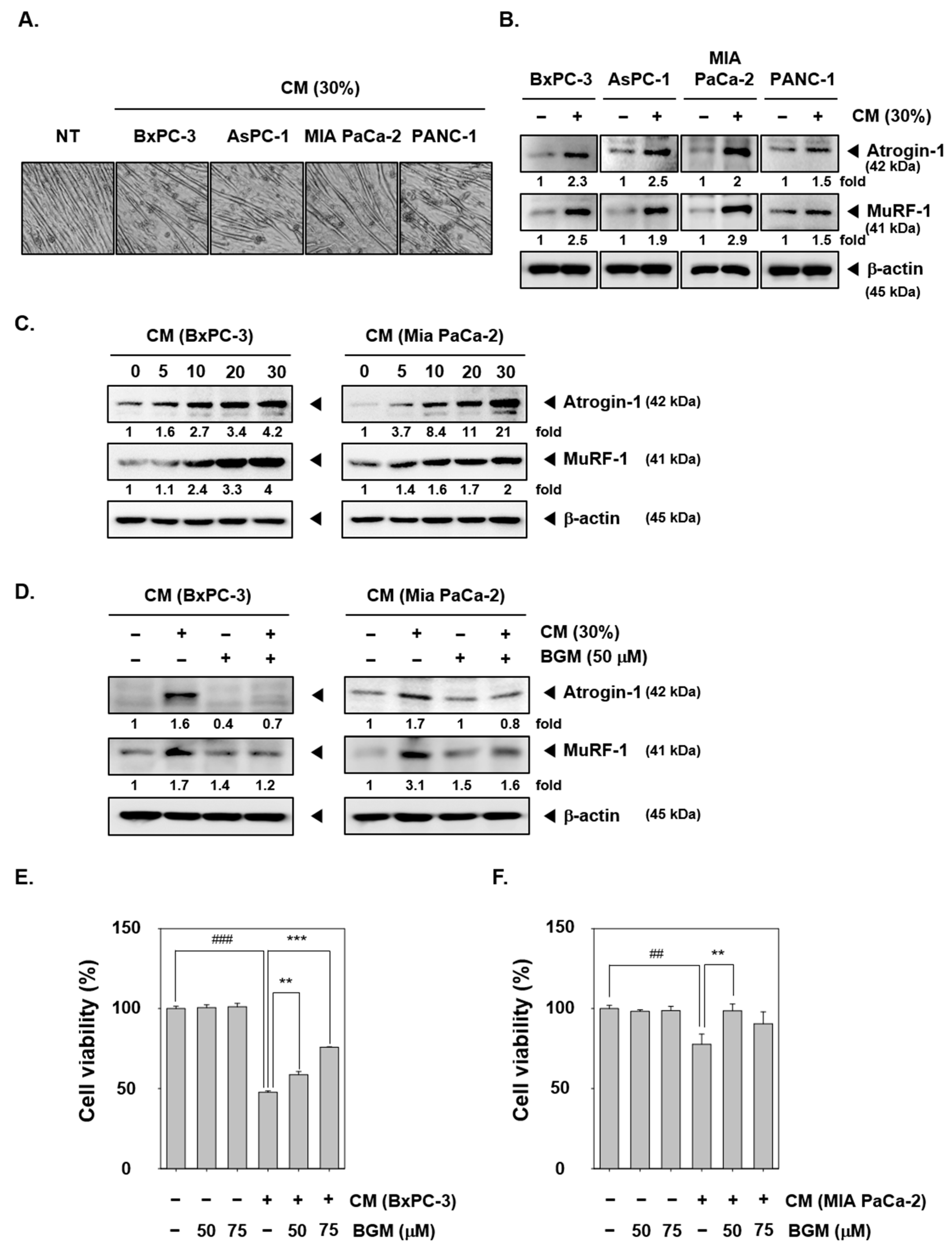 Cancers 13 01347 g001