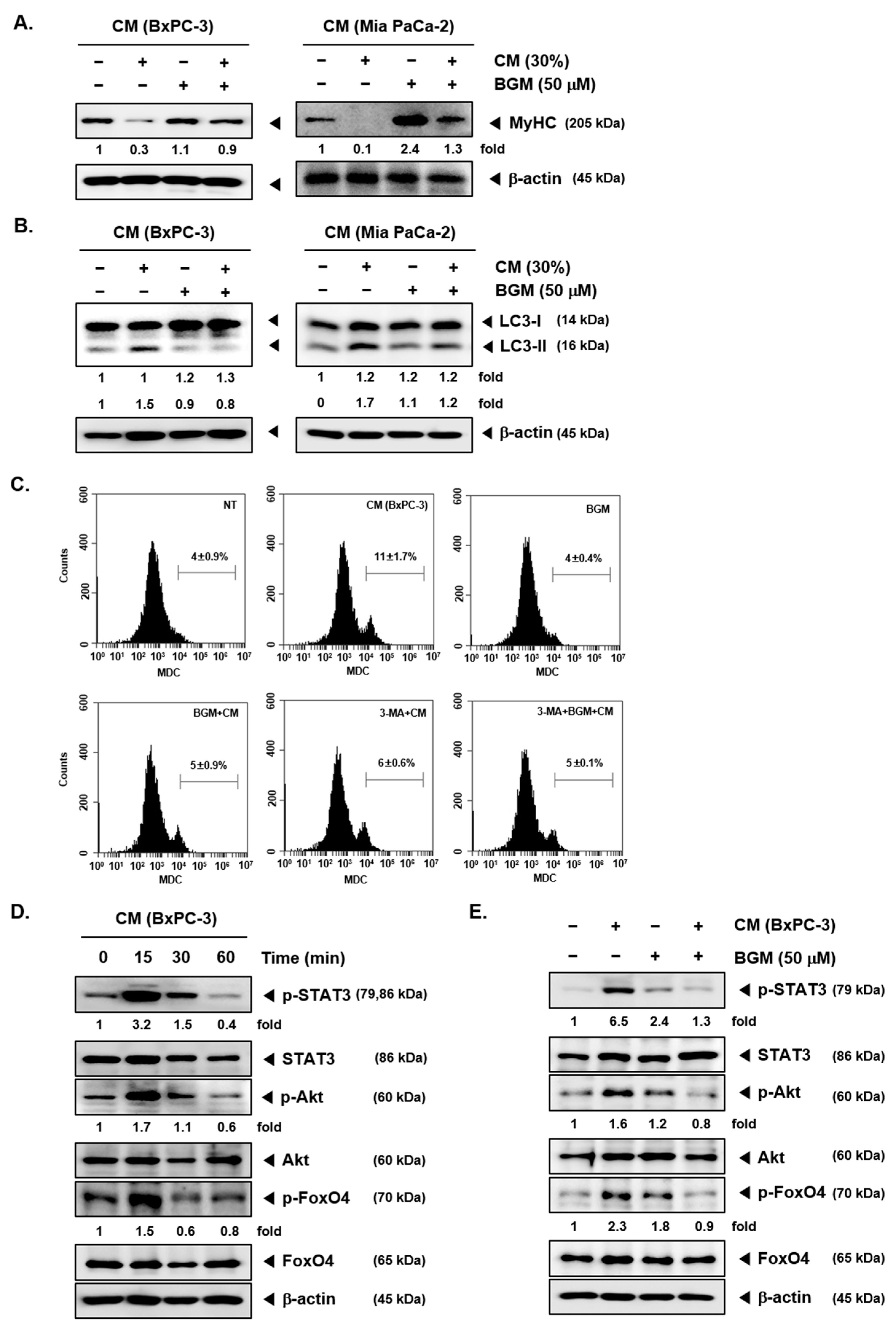 Cancers 13 01347 g002
