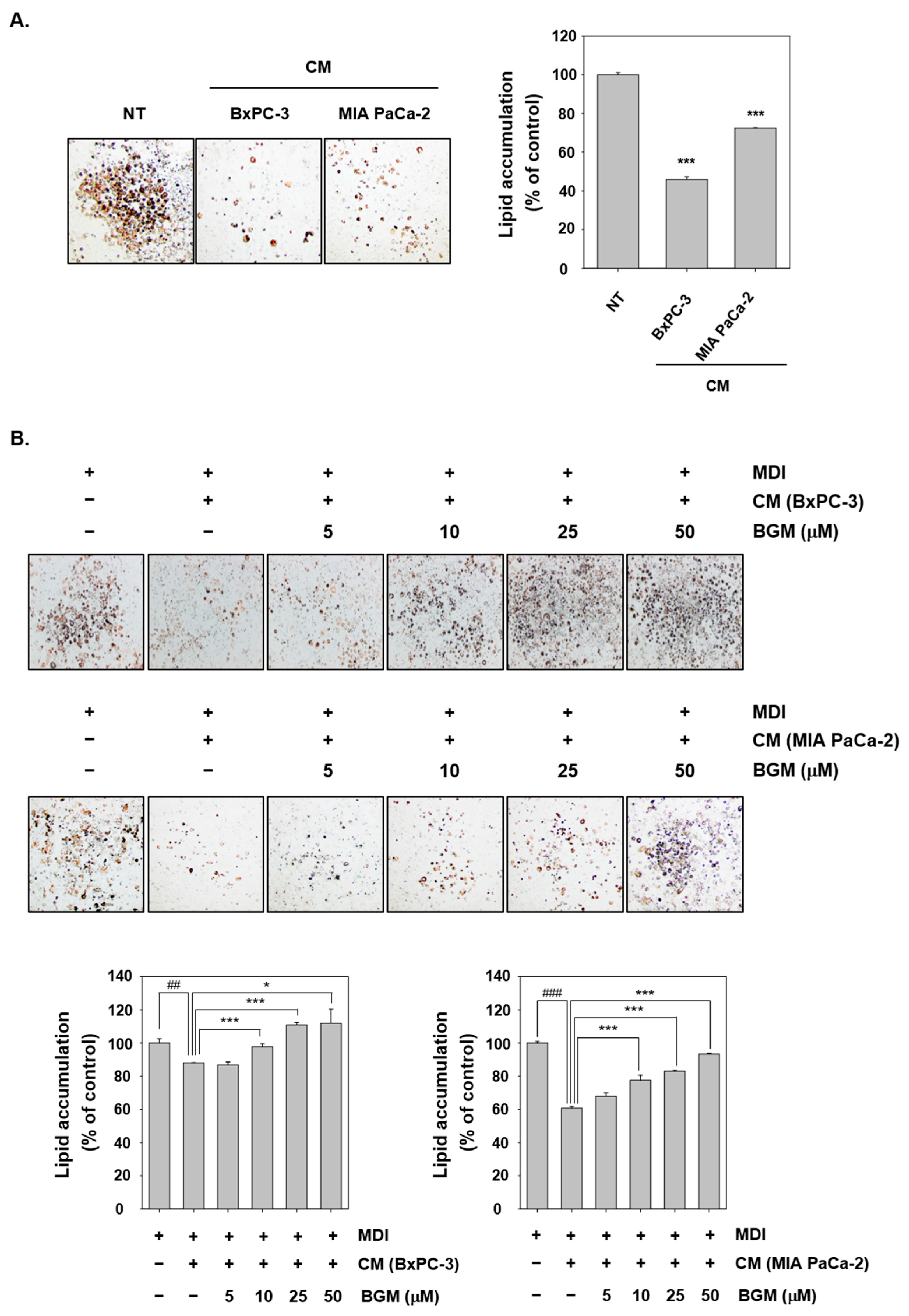 Cancers 13 01347 g003