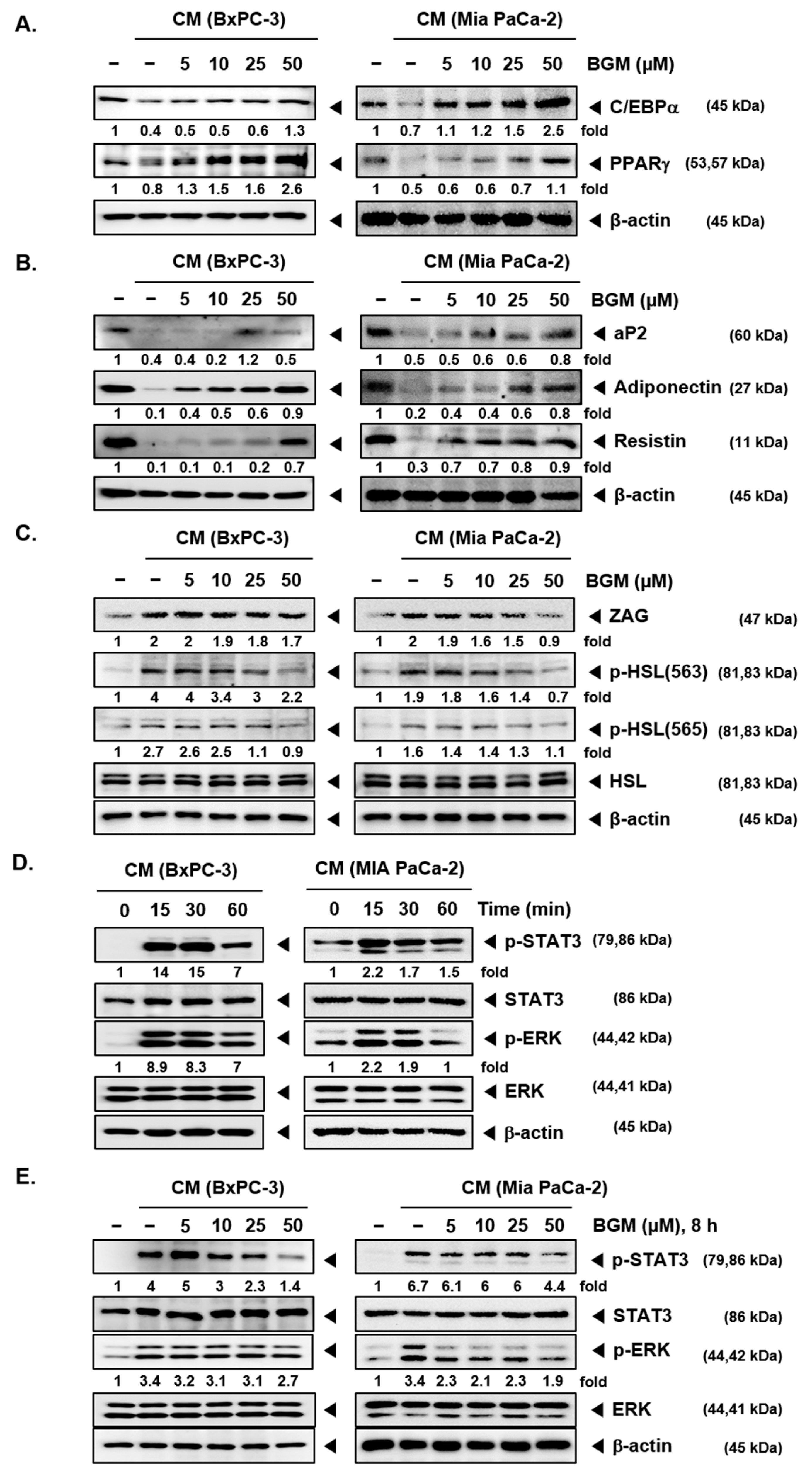 Cancers 13 01347 g004