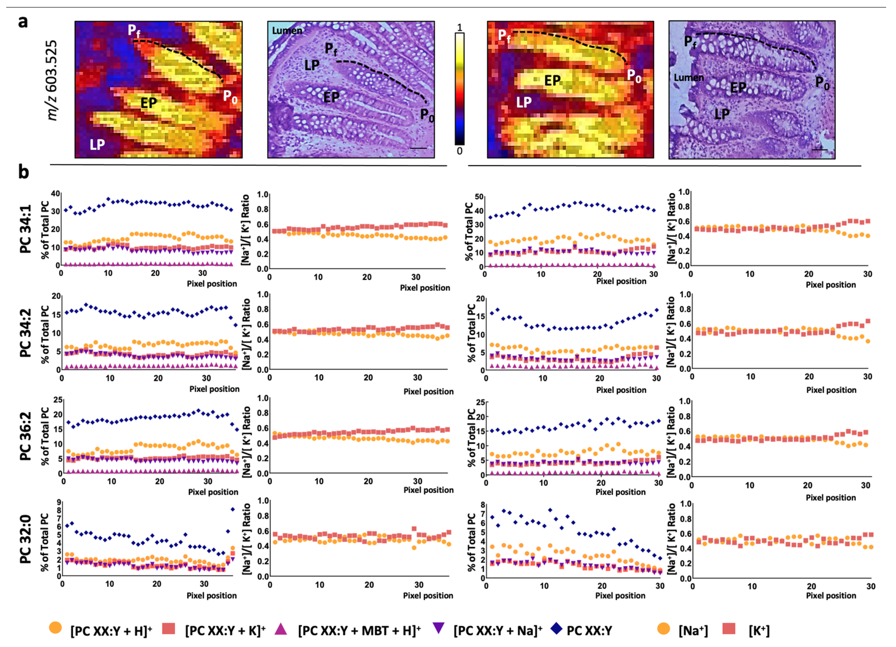 Cancers 13 01350 g002