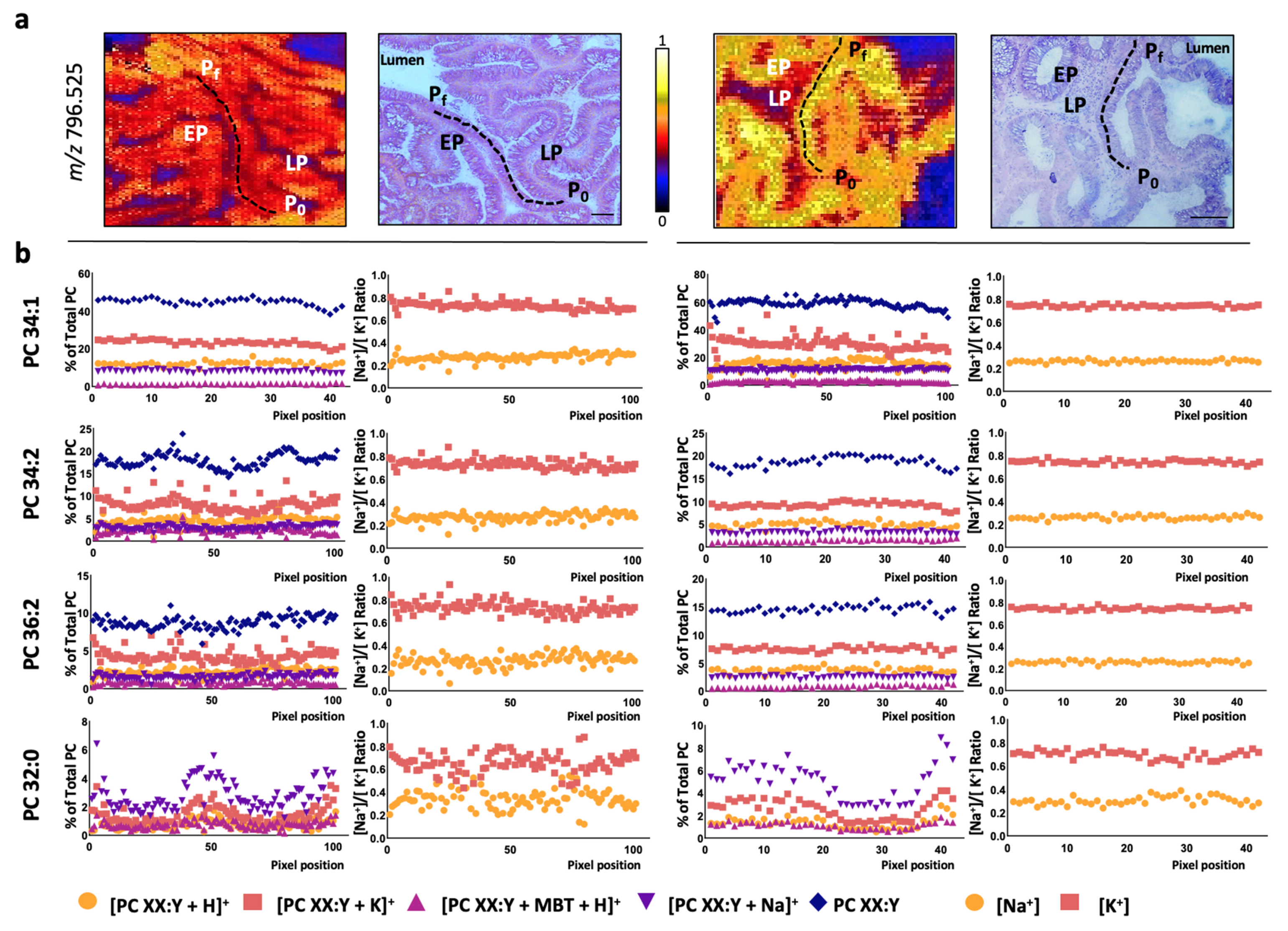 Cancers 13 01350 g003