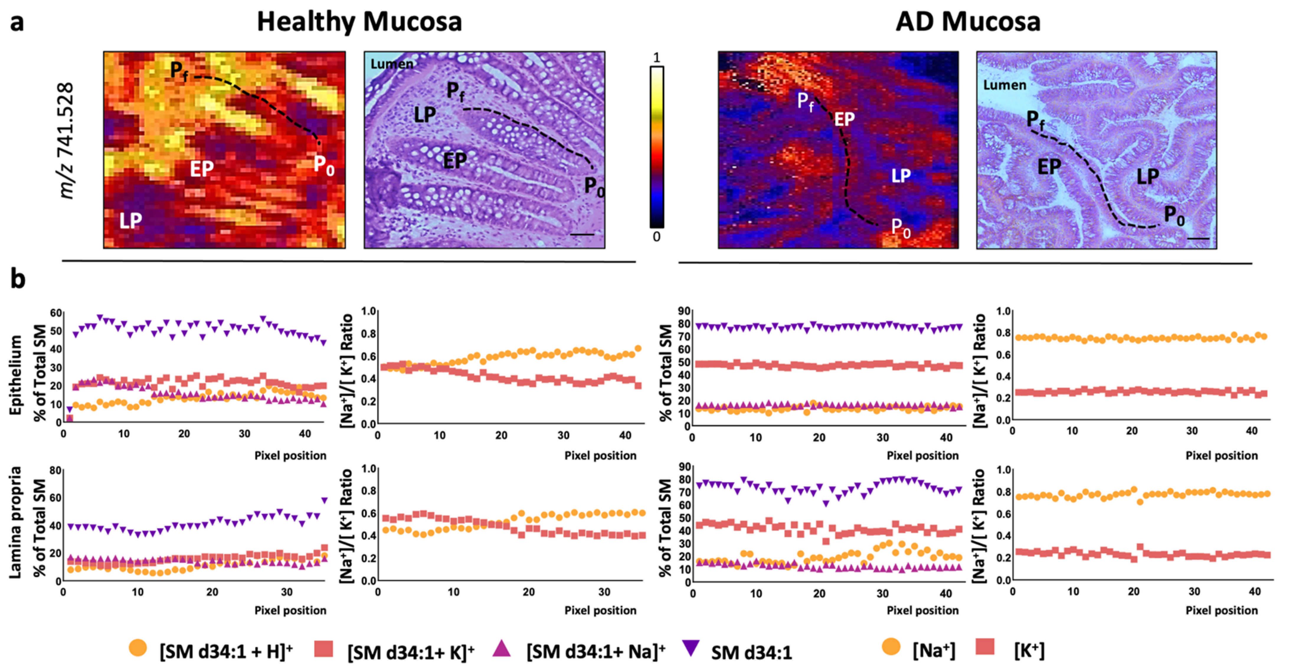 Cancers 13 01350 g006
