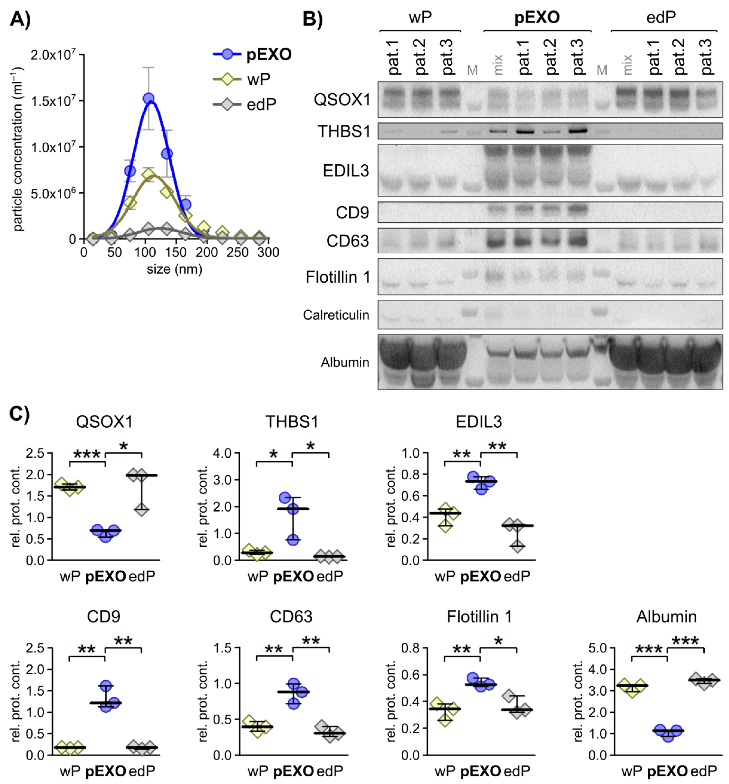 Cancers 13 01351 g002