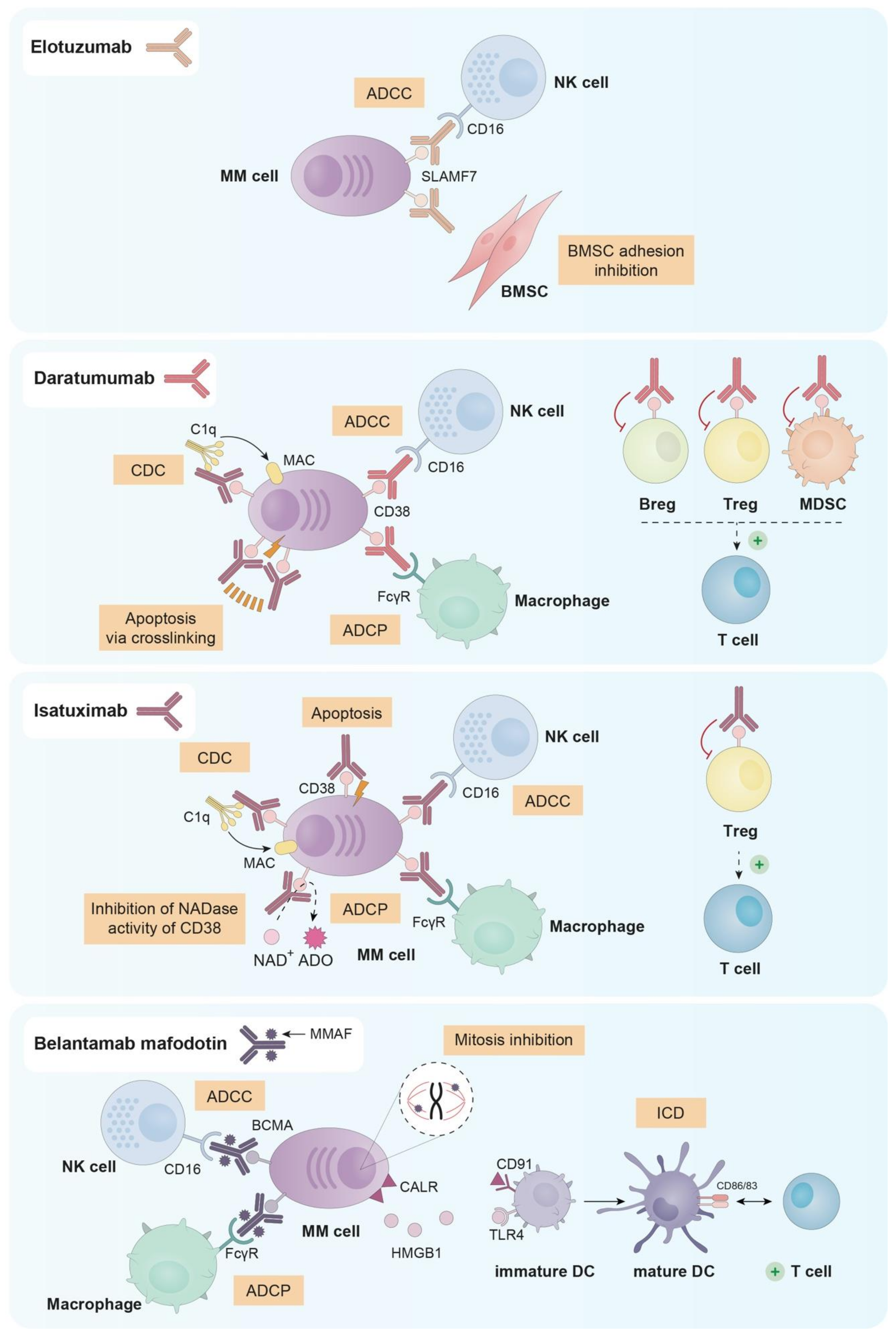 Cancers 13 01353 g002