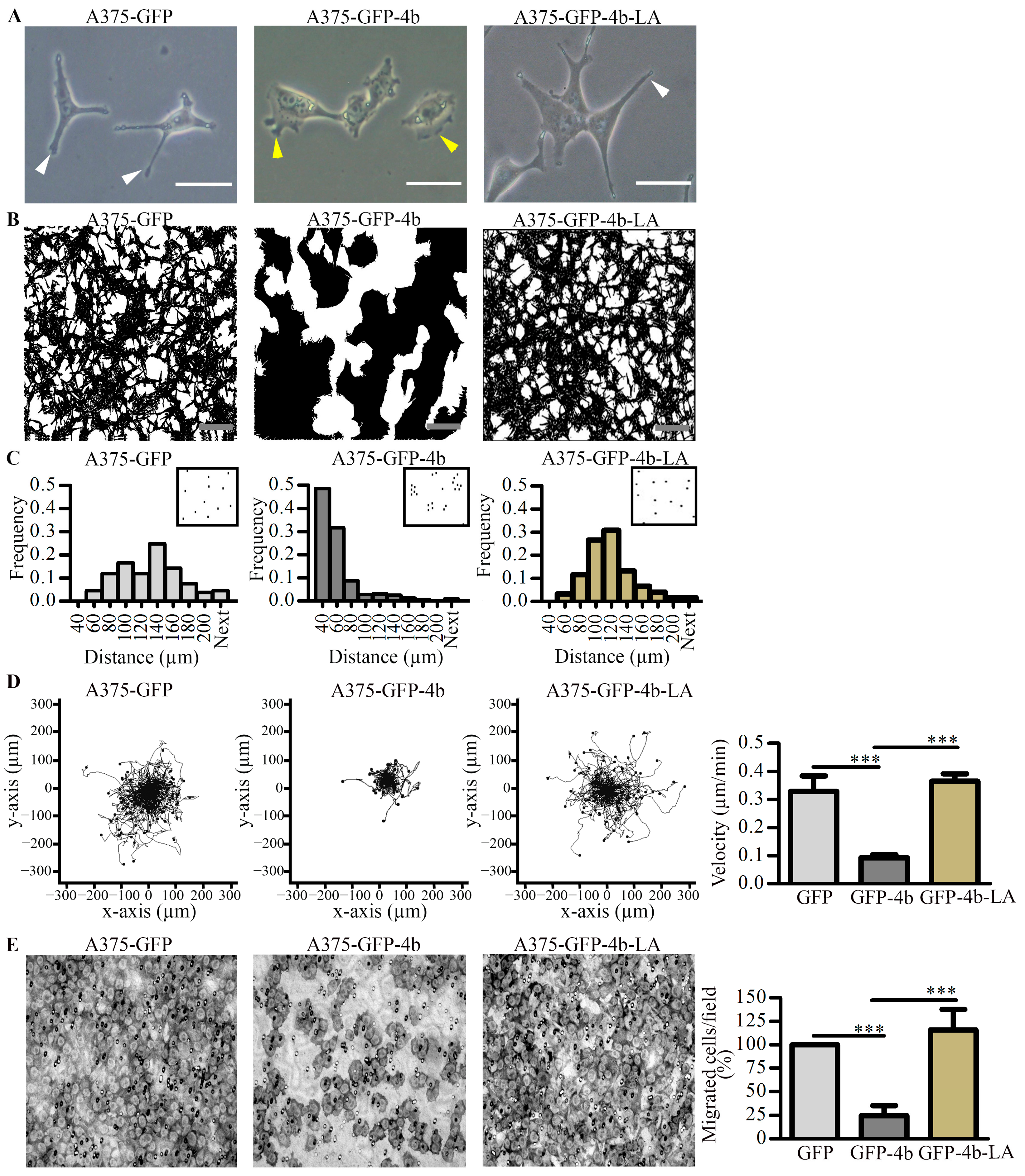 Cancers 13 01354 g001