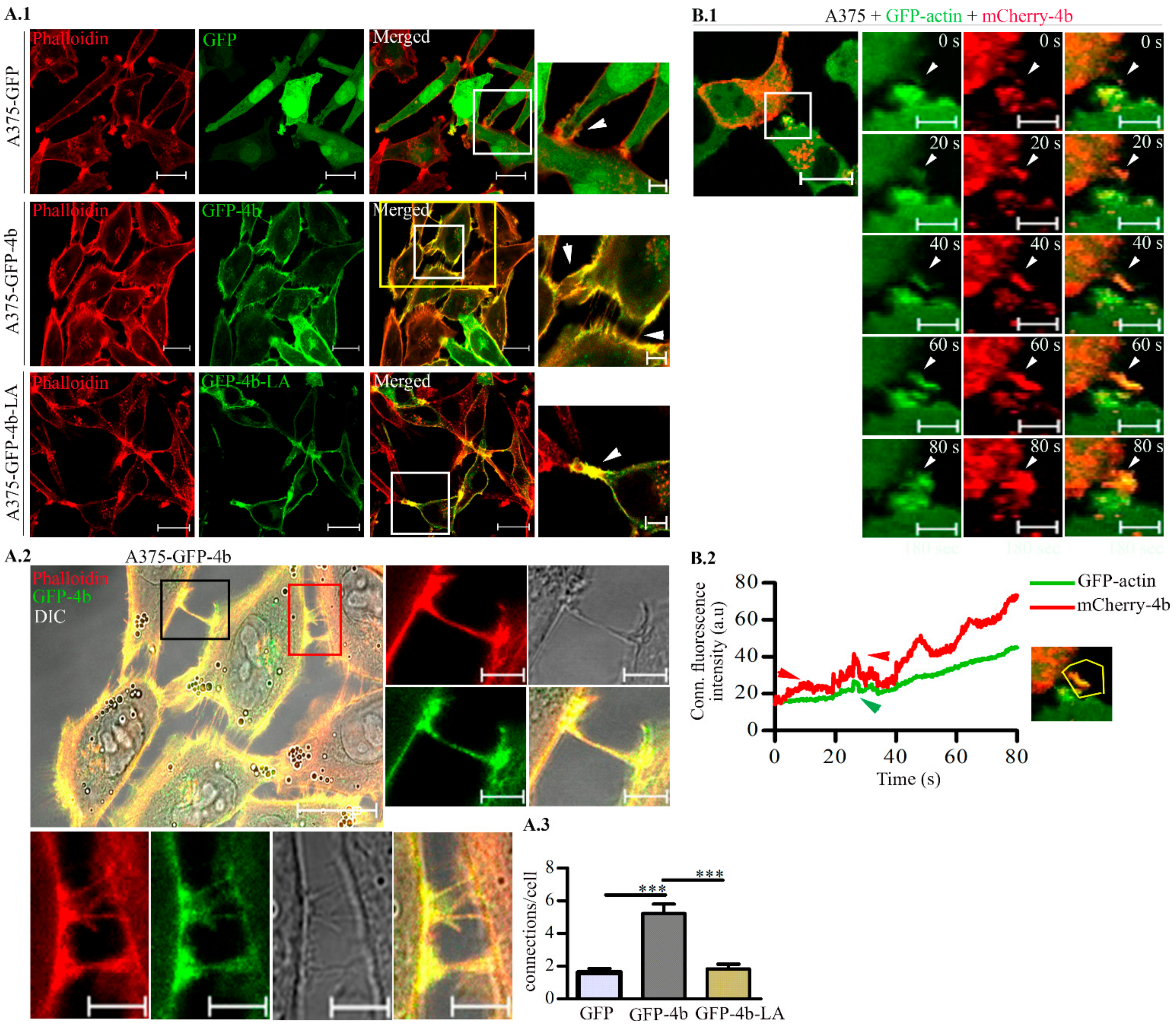 Cancers 13 01354 g002