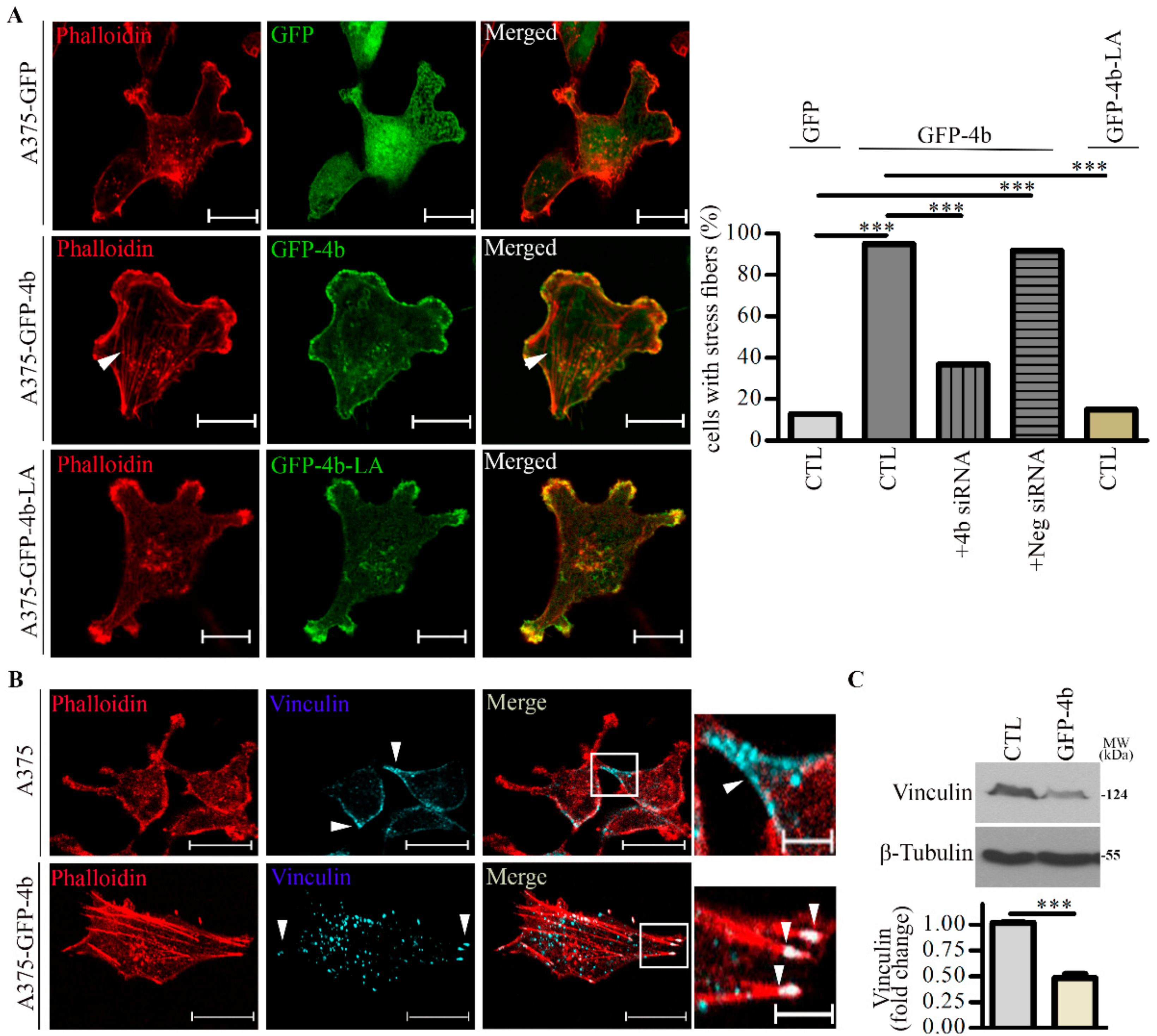 Cancers 13 01354 g003