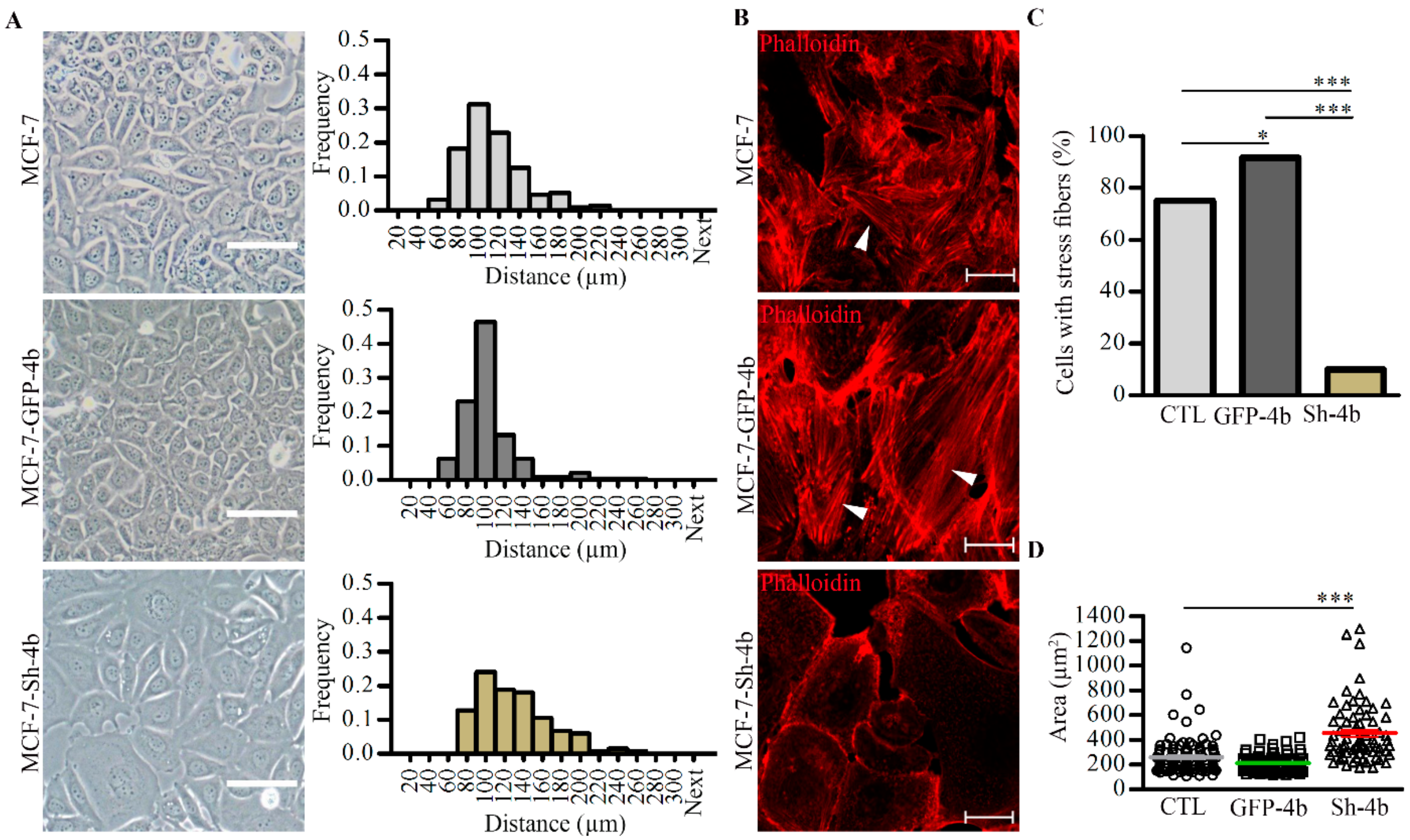 Cancers 13 01354 g005