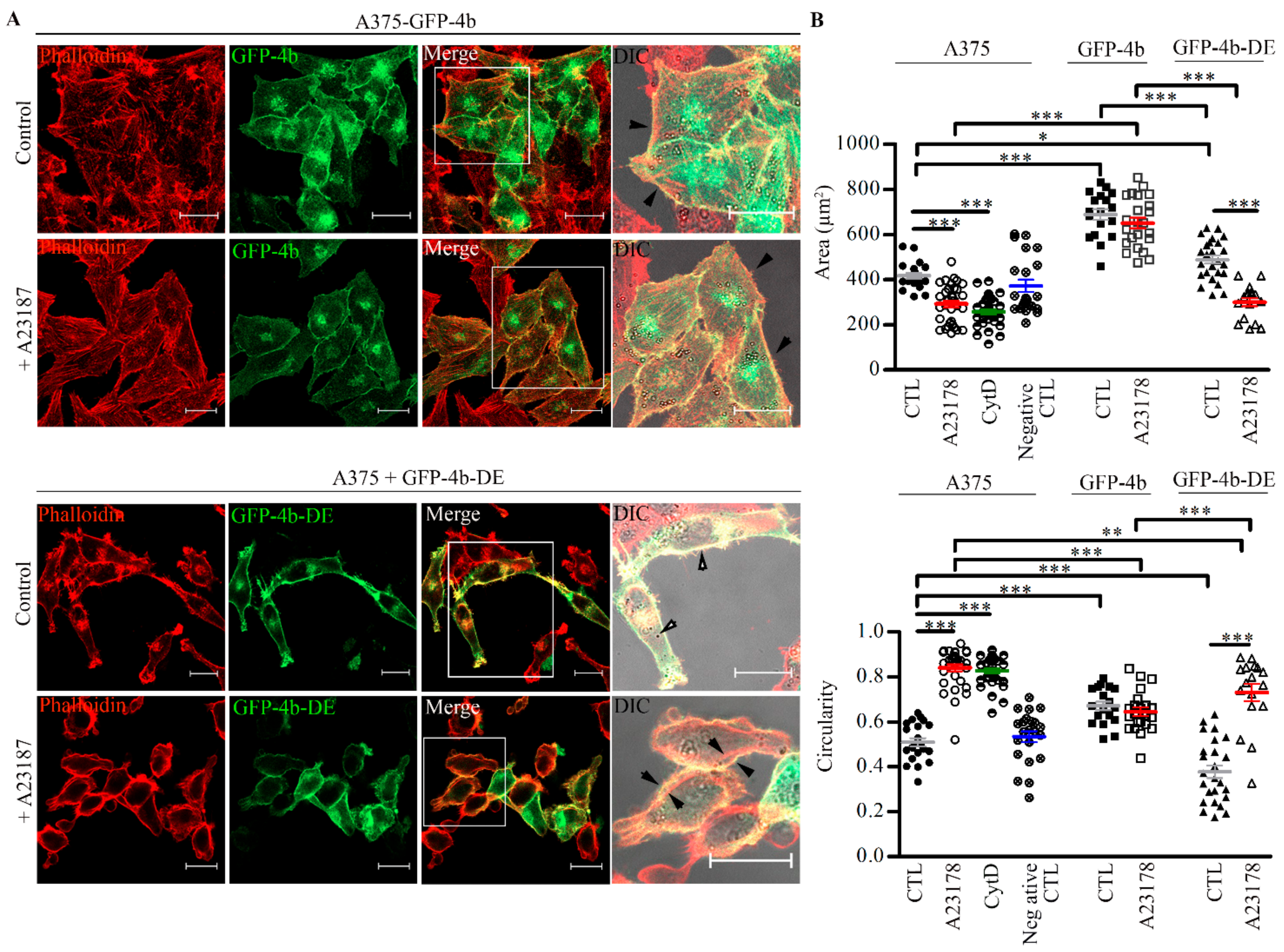 Cancers 13 01354 g008