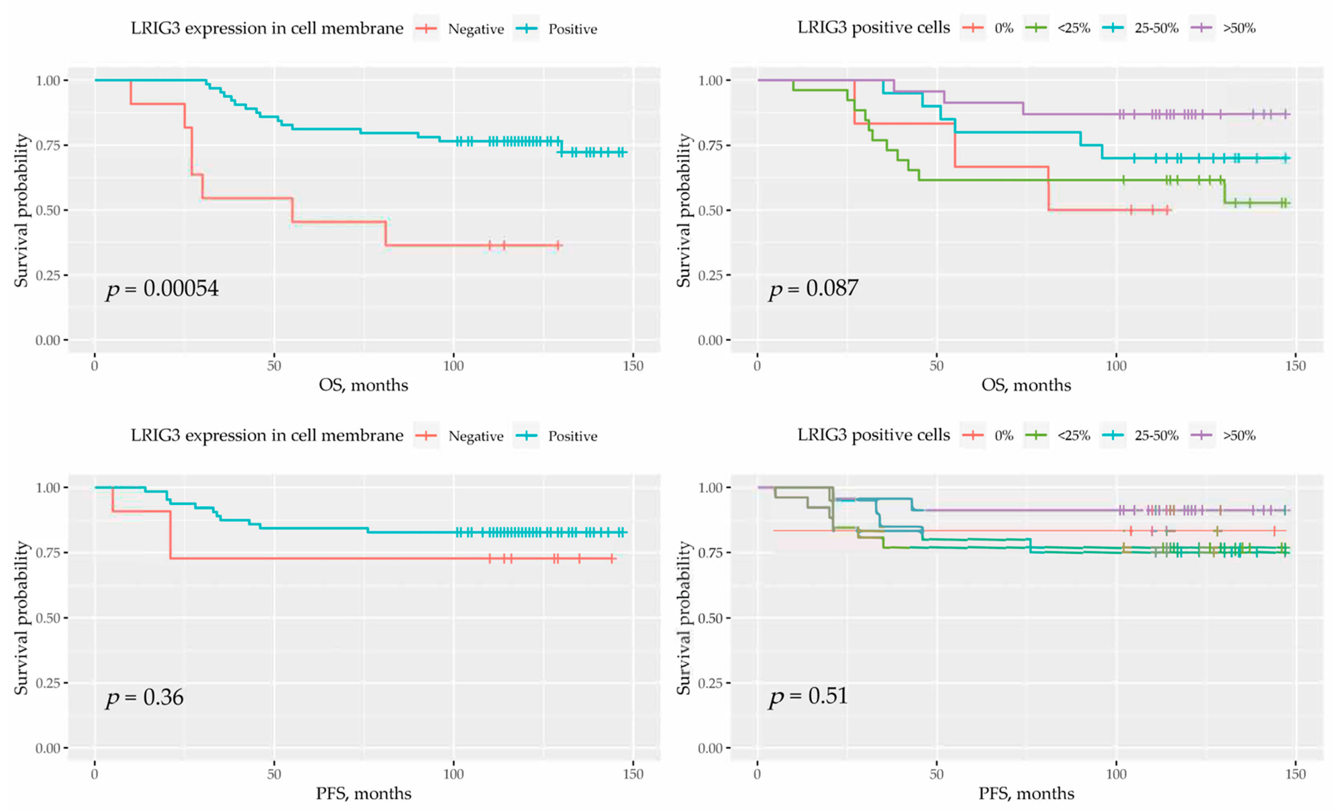 Cancers 13 01361 g005