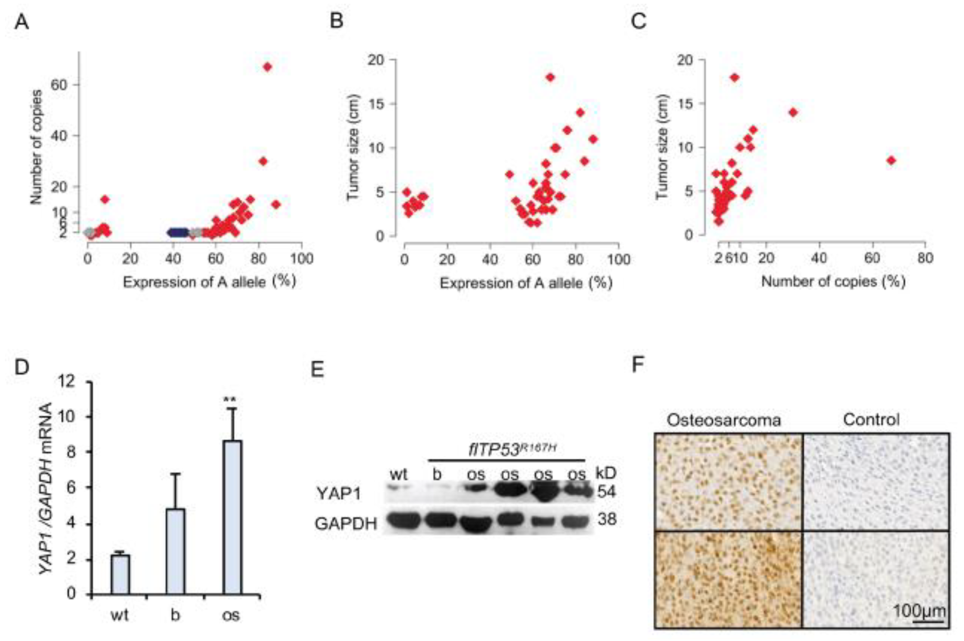 Cancers 13 01364 g002