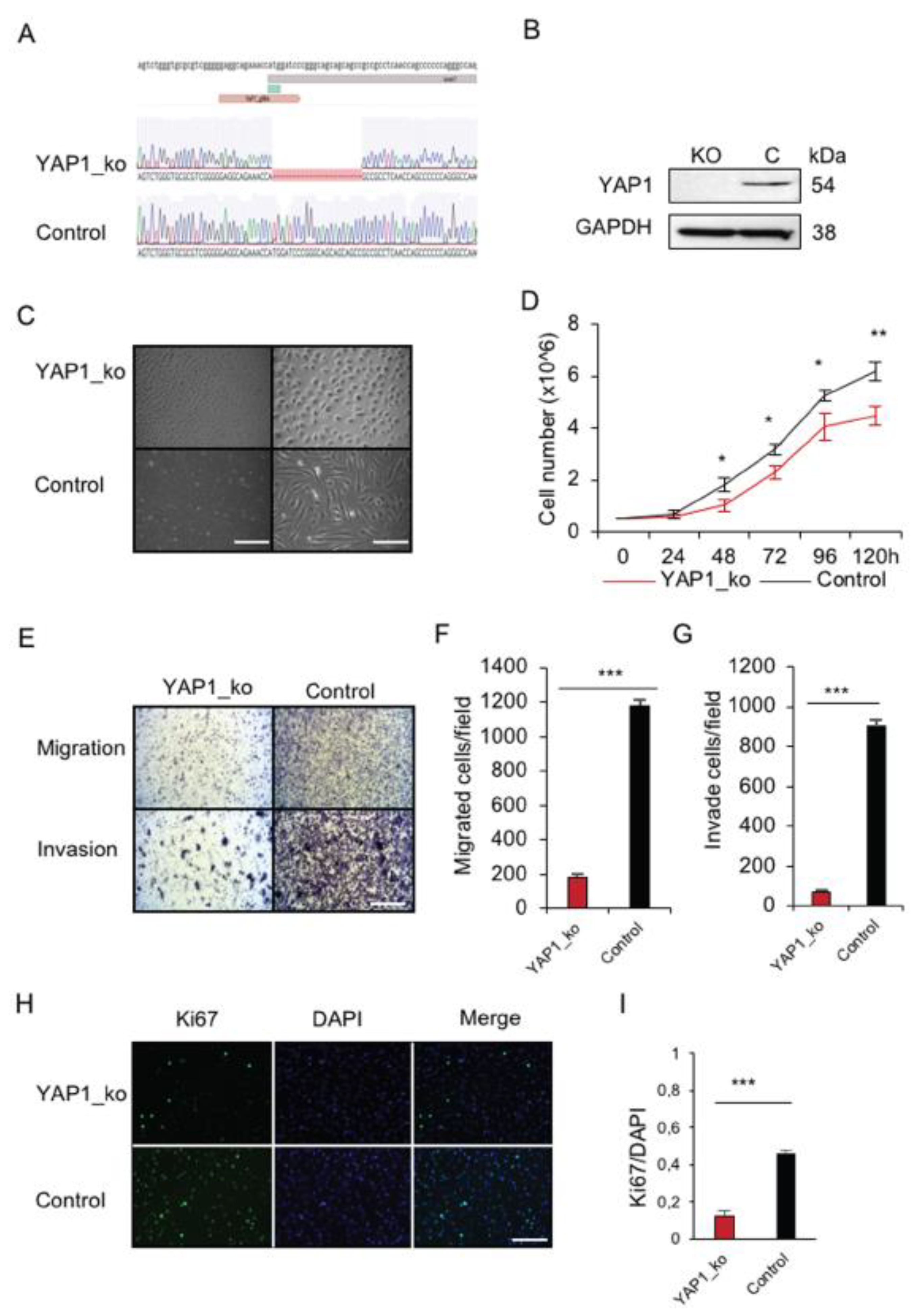 Cancers 13 01364 g003