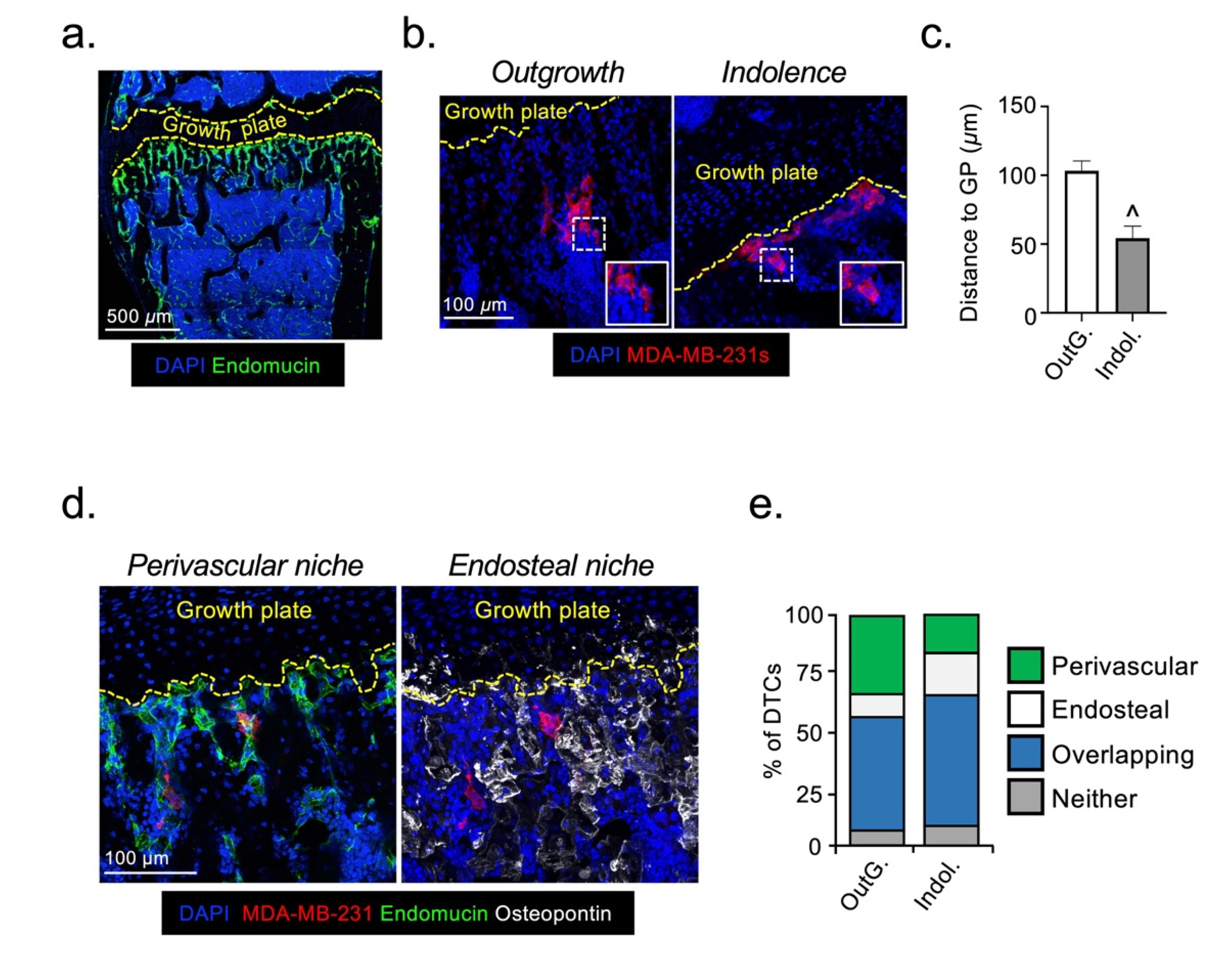 Cancers 13 01366 g001