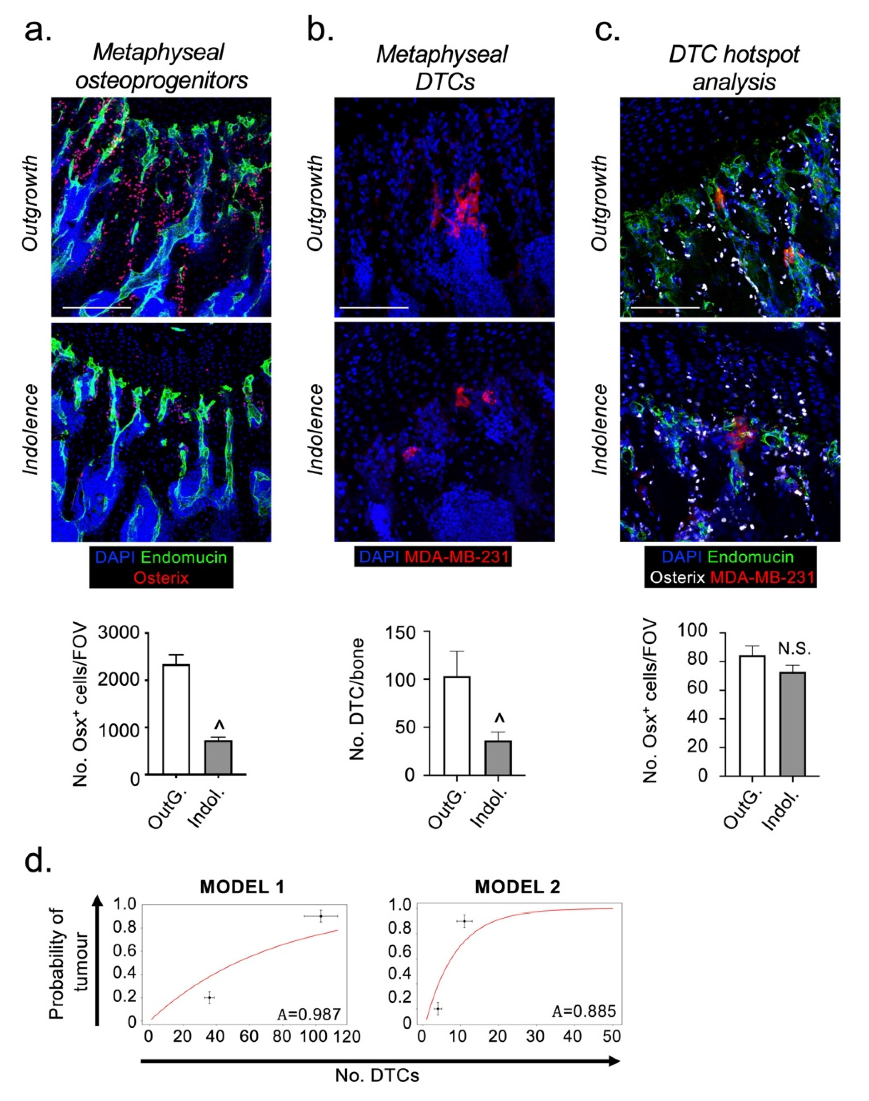 Cancers 13 01366 g003
