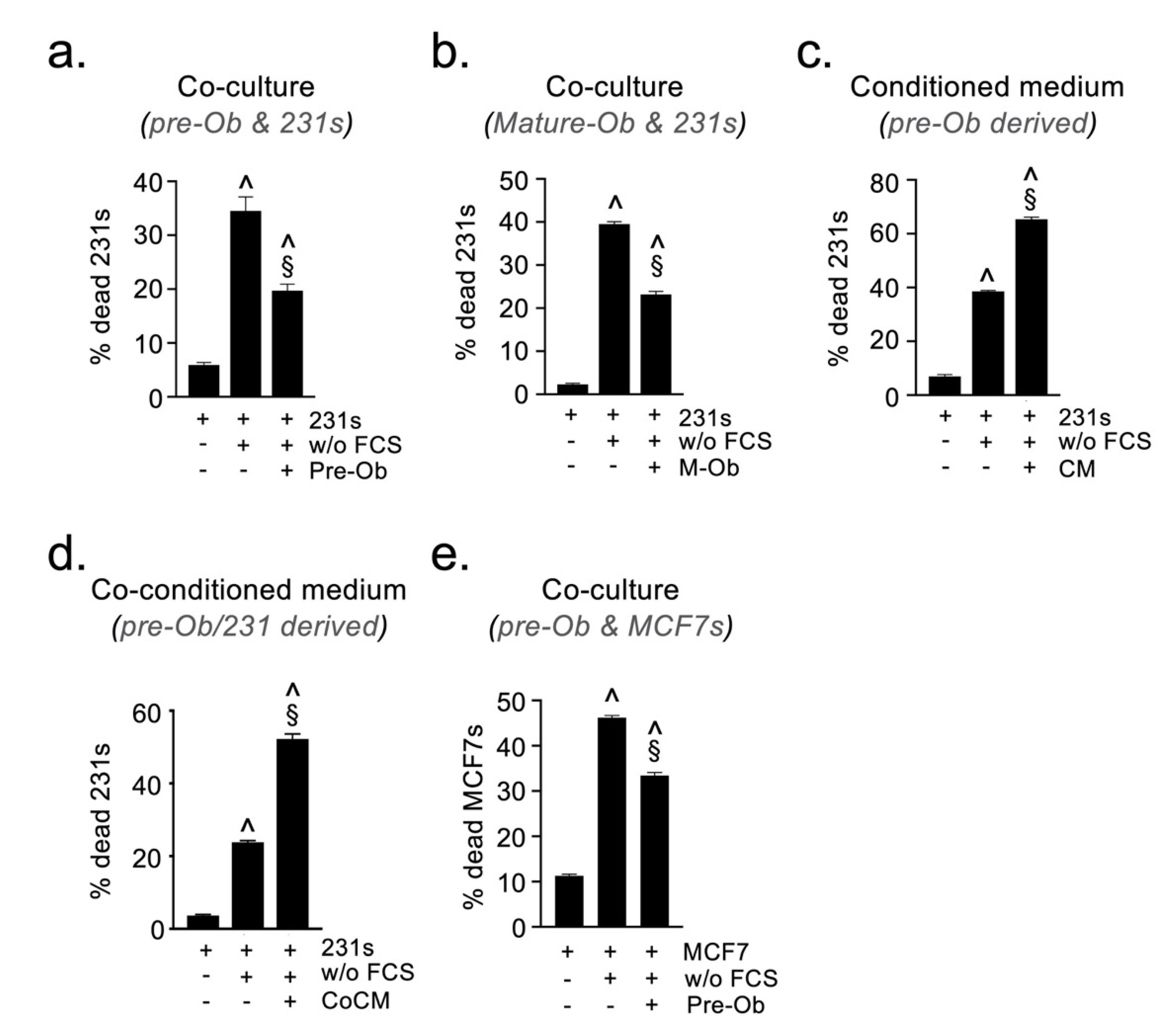 Cancers 13 01366 g005